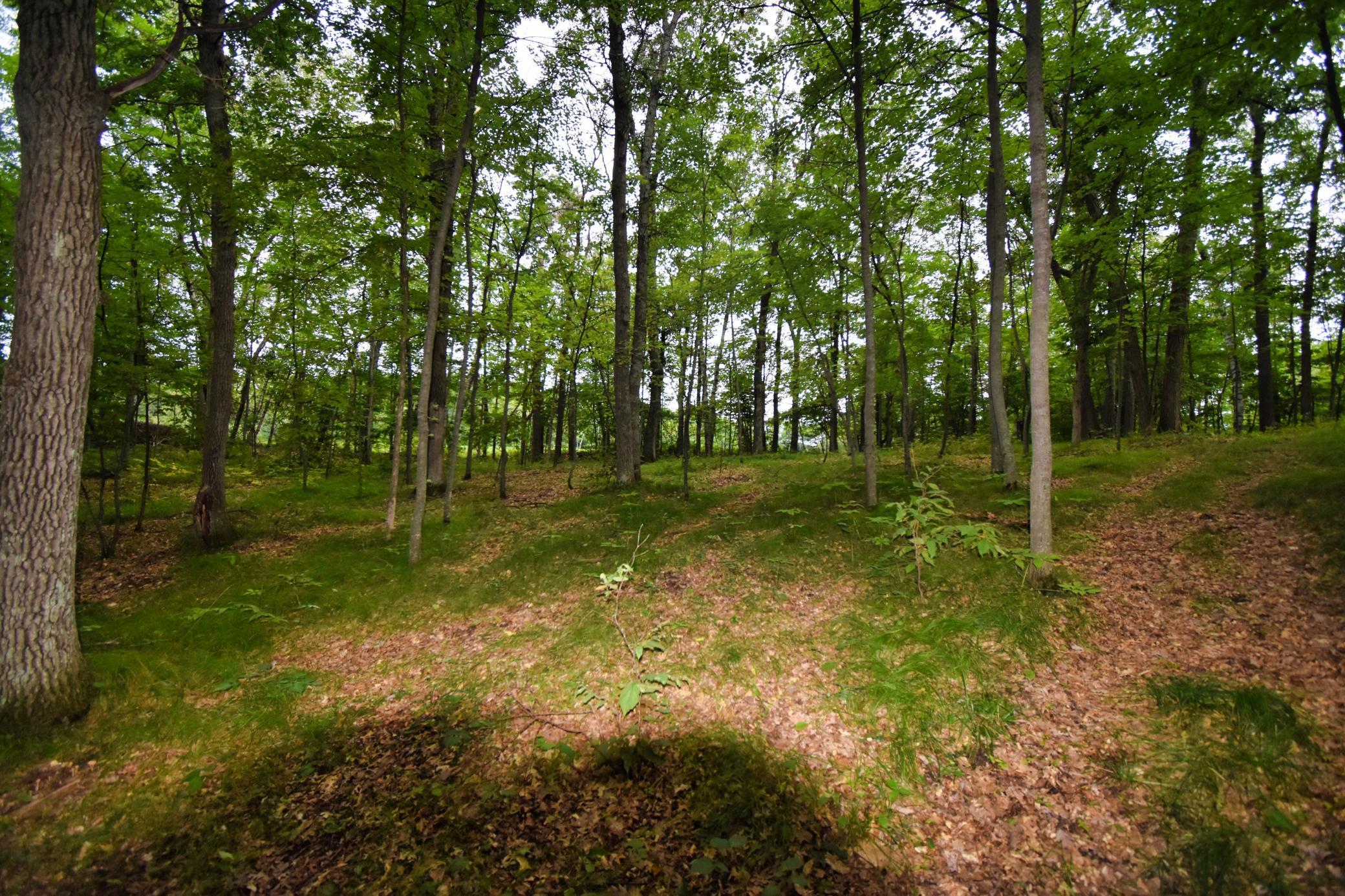 View of Land at TBD Osceola Circle, Breezy Point MN 56472, Breezy Point - Mike Wilen | Minnesota Team Real Estate