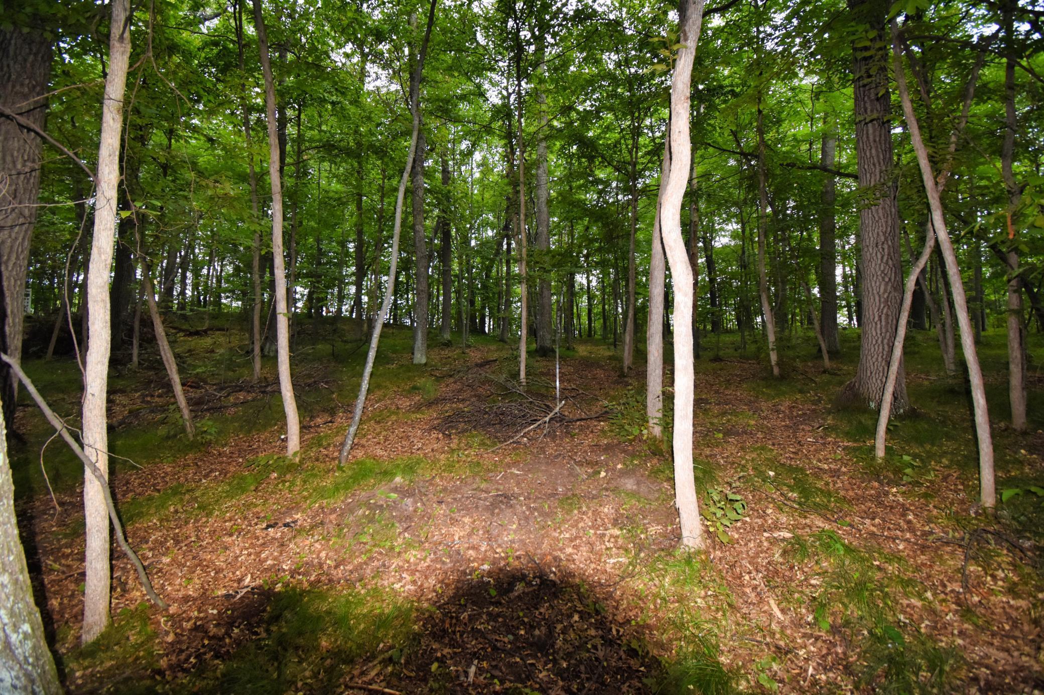 View of Land at TBD Osceola Circle, Breezy Point MN 56472, Breezy Point (4 of 9) - Mike Wilen | Minnesota Team Real Estate