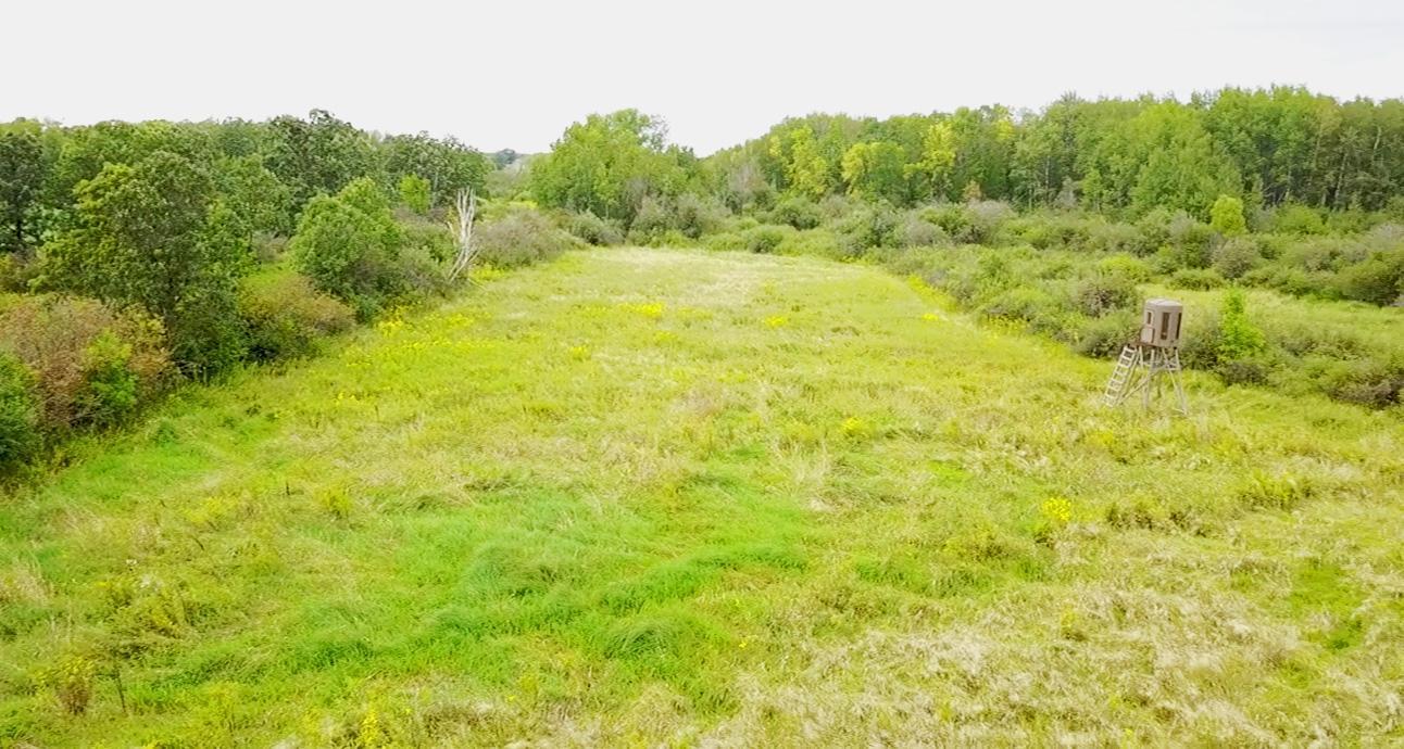 View of Land at XXX Red Road, Isle MN 56342, Isle - Mike Wilen | Minnesota Team Real Estate