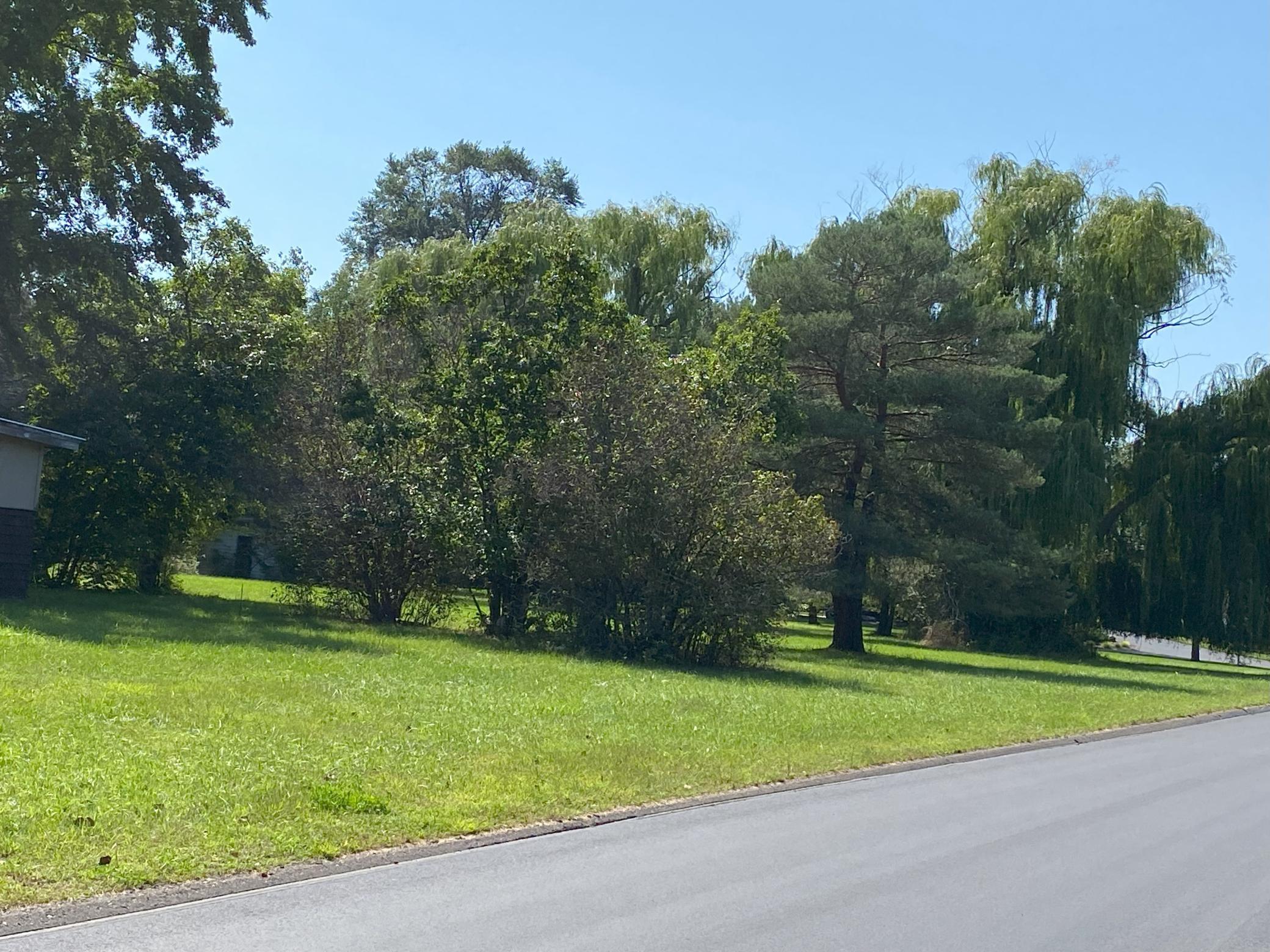 View of Land at 8731 Obrian Avenue, Otsego MN 55330, Otsego - Mike Wilen | Minnesota Team Real Estate