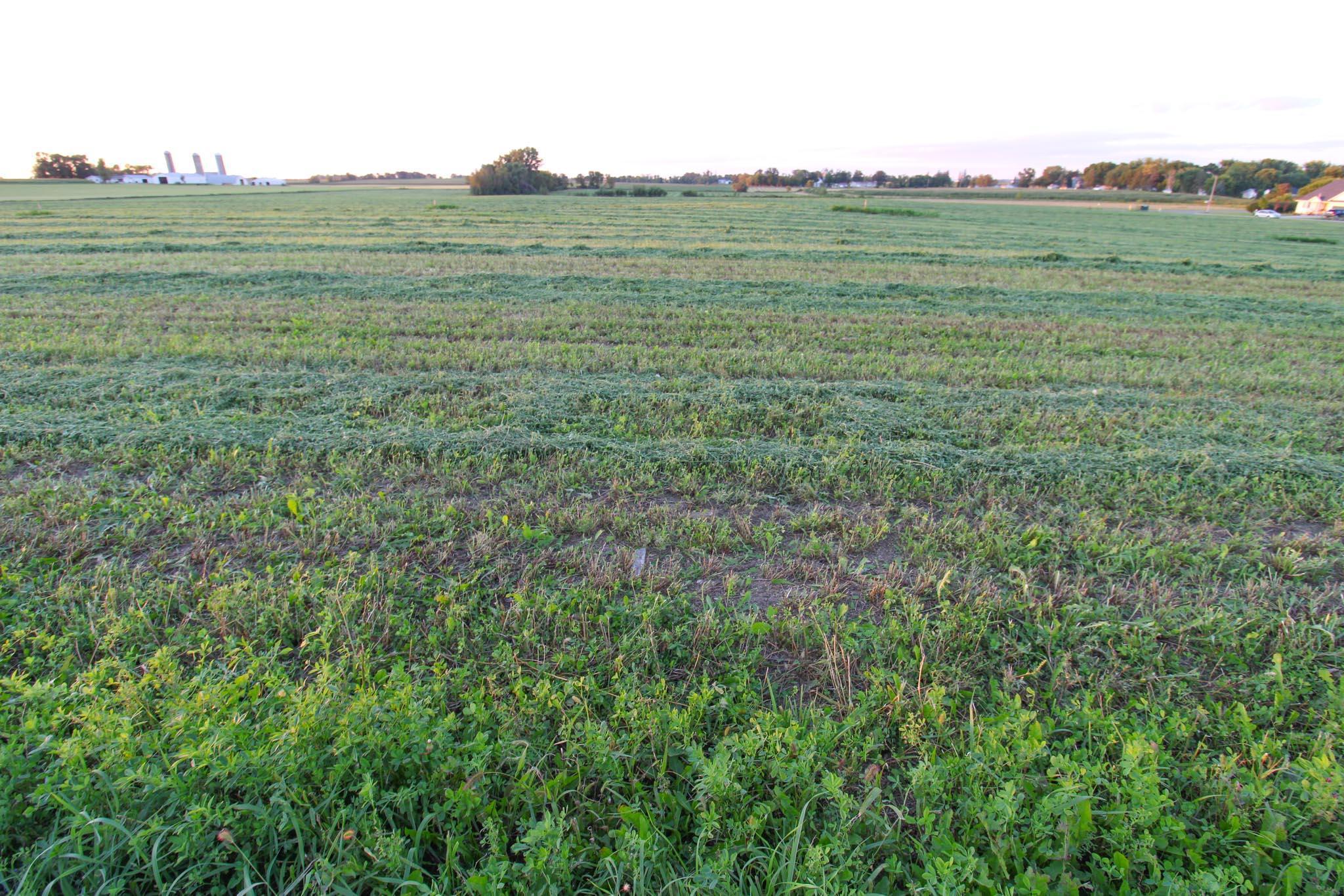 View of Land at 324 Highlands Blvd, Melrose MN 56352, Melrose (8 of 10) - Mike Wilen | Minnesota Team Real Estate