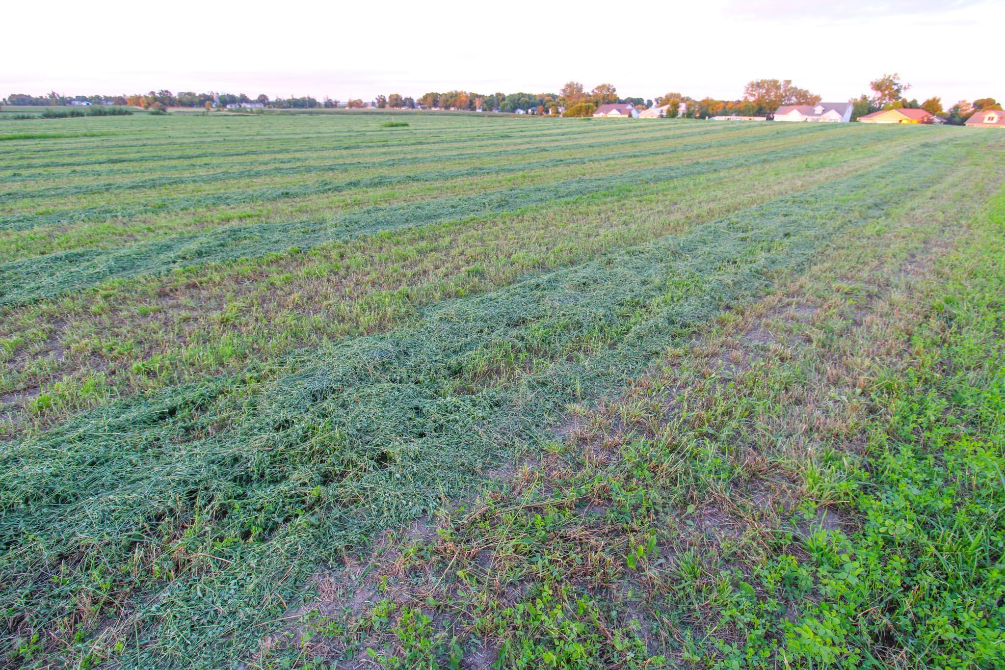 View of Land at 324 Highlands Blvd, Melrose MN 56352, Melrose (9 of 10) - Mike Wilen | Minnesota Team Real Estate