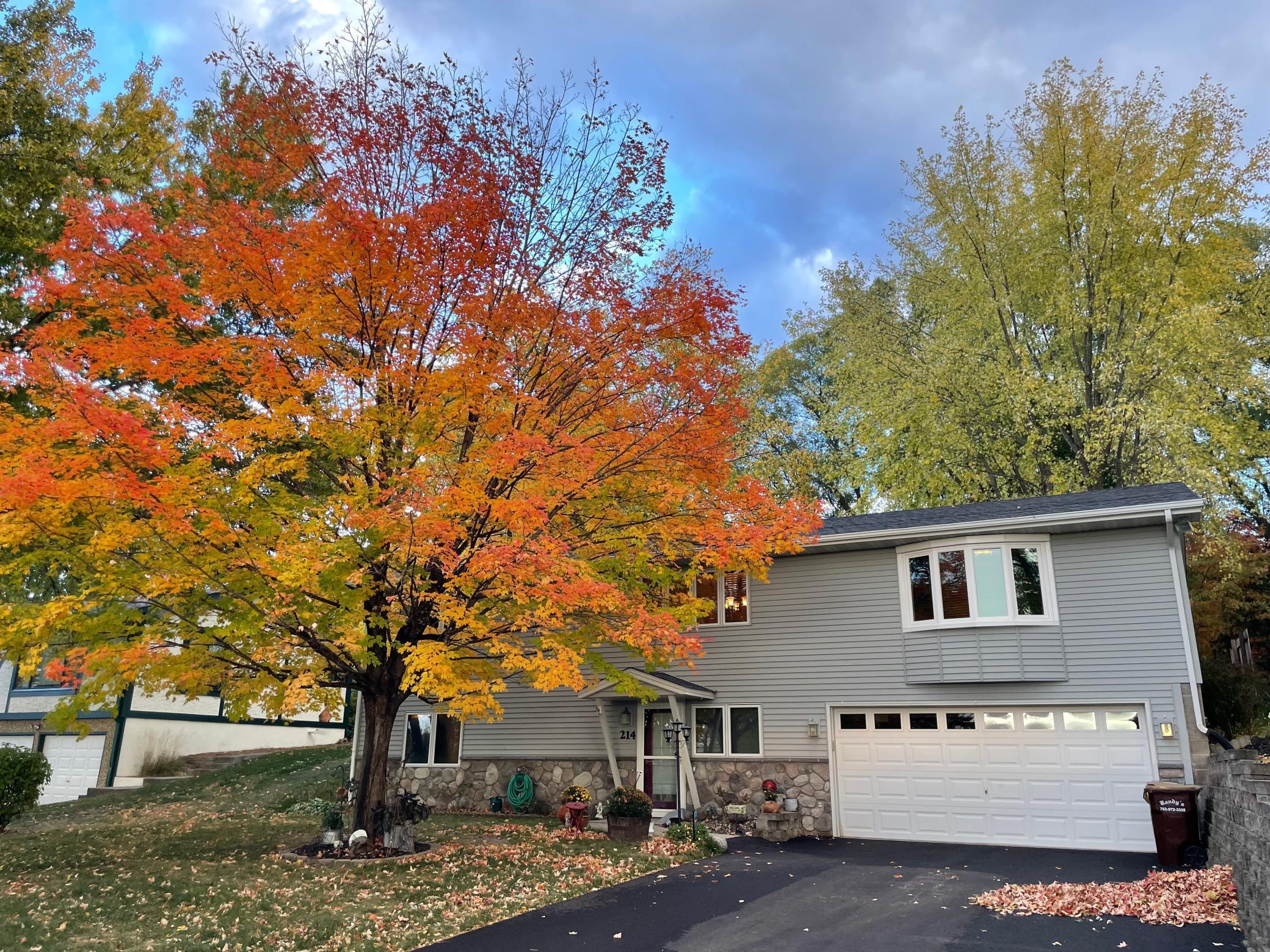 View of Residential at 214 Jackson Avenue, Watertown MN 55388, Watertown - Mike Wilen | Minnesota Team Real Estate