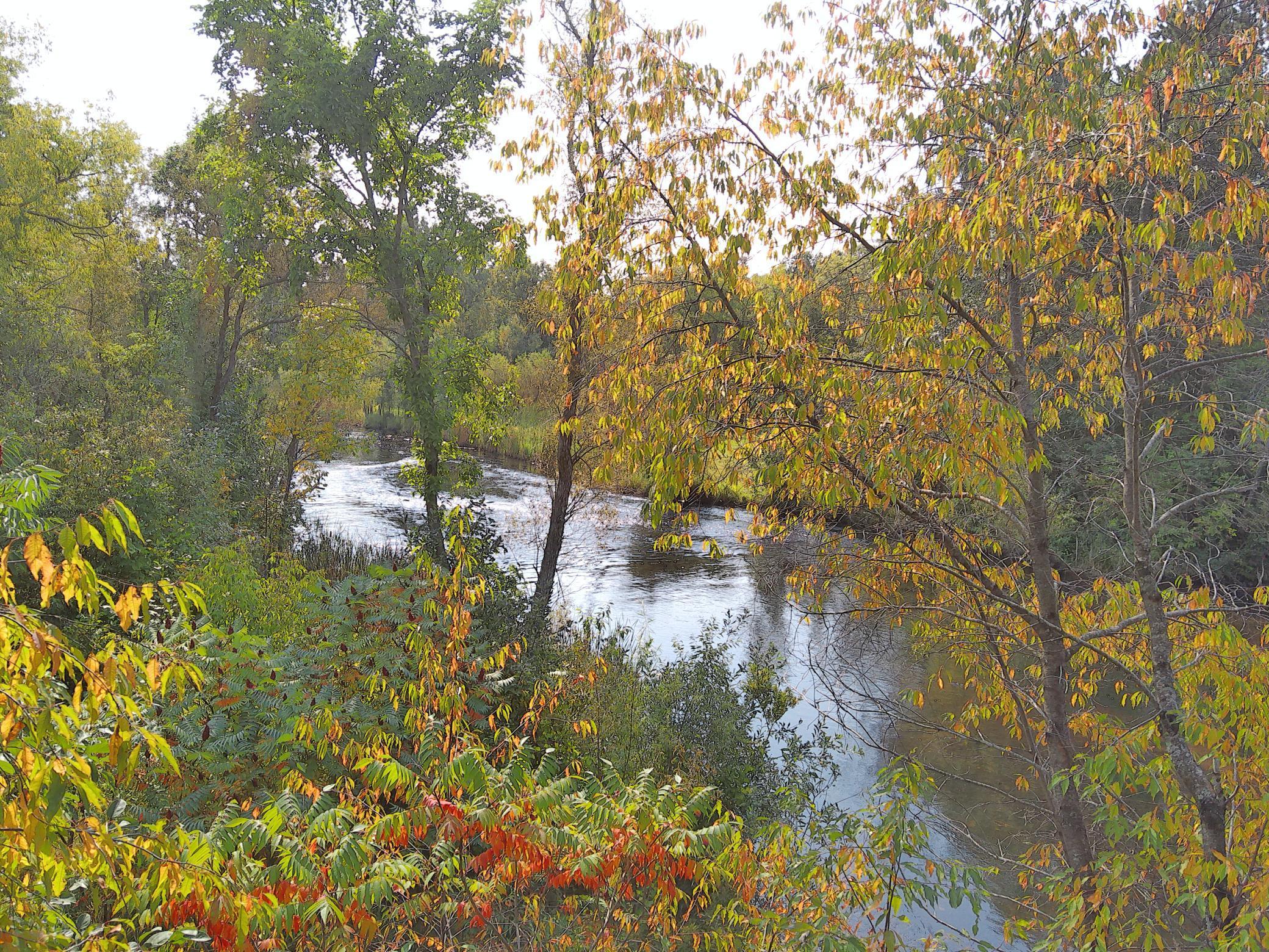 View of Land at 301 Cherry Lane, Onamia MN 56359, Onamia - Mike Wilen | Minnesota Team Real Estate