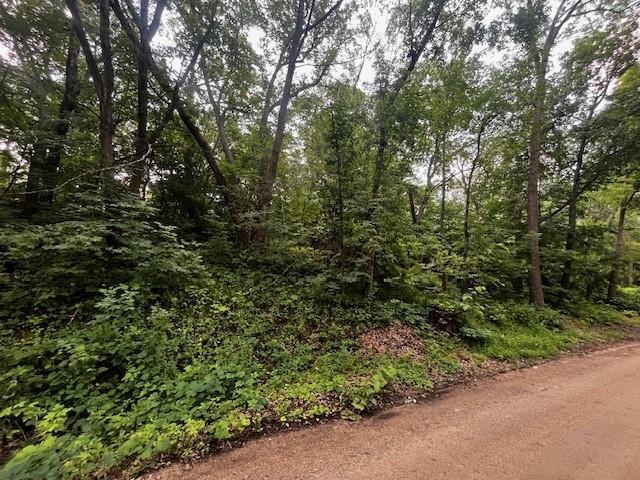 View of Land at xxx 109th Street, South Haven MN 55382, South Haven - Mike Wilen | Minnesota Team Real Estate