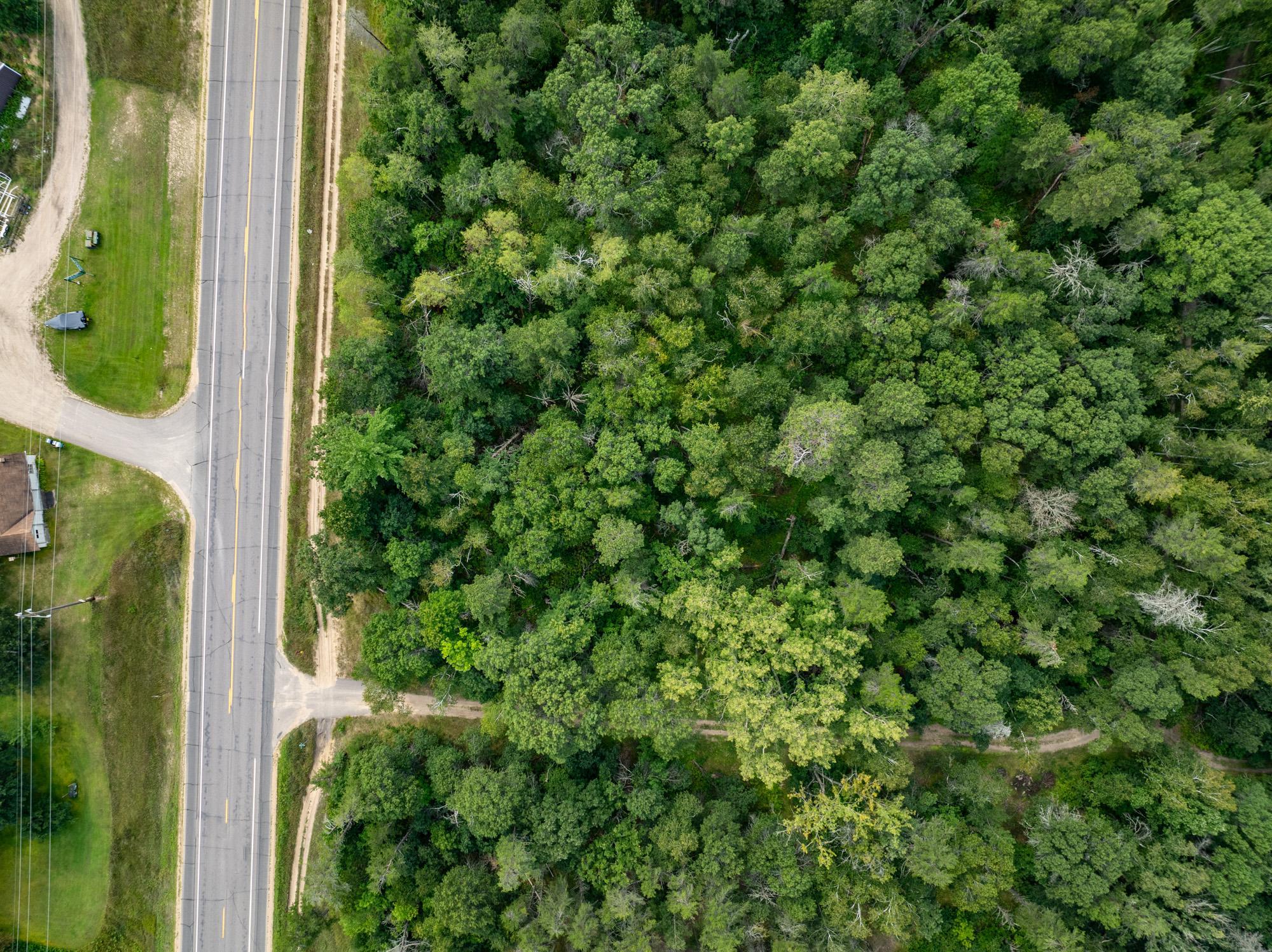 View of Land at TBD Peony Lane, Breezy Point MN 56472, Breezy Point (4 of 4) - Mike Wilen | Minnesota Team Real Estate