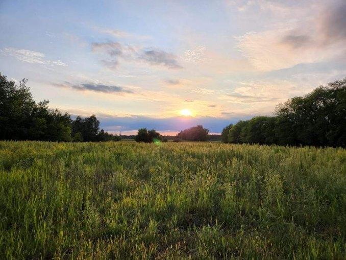 View of Land at 2732x Tucker Trail, North Branch MN 55040, North Branch - Mike Wilen | Minnesota Team Real Estate