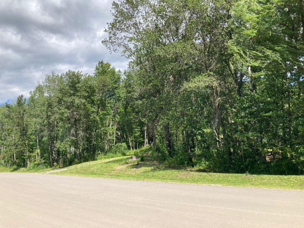 View of Land at 17571 Rhinestone Street, Ramsey MN 55303, Ramsey - Mike Wilen | Minnesota Team Real Estate