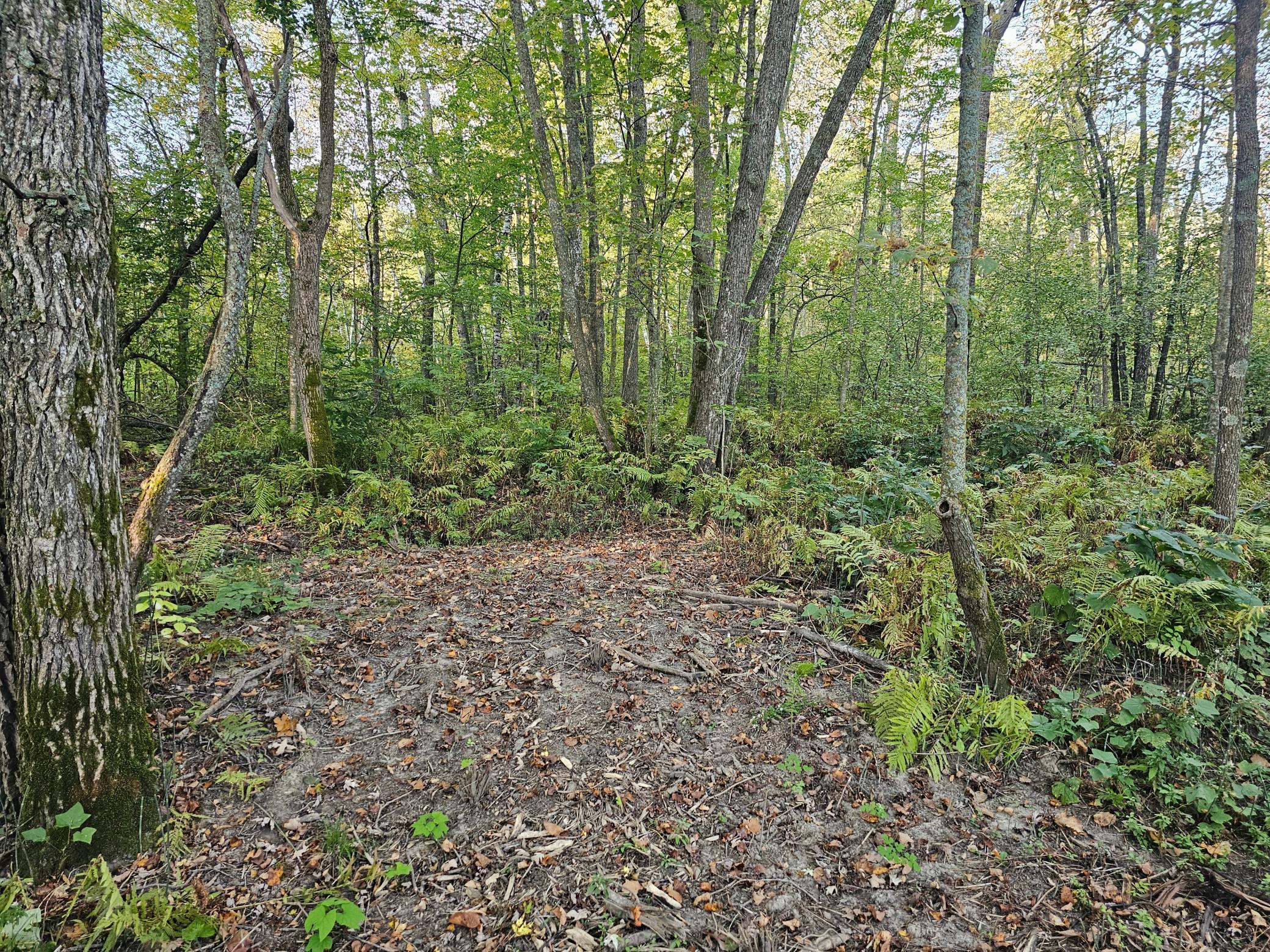 View of Land at Lot 5 Blk 1, 5.4 Acres County Road 30, Crosby MN 56441, Crosby (11 of 14) - Mike Wilen | Minnesota Team Real Estate