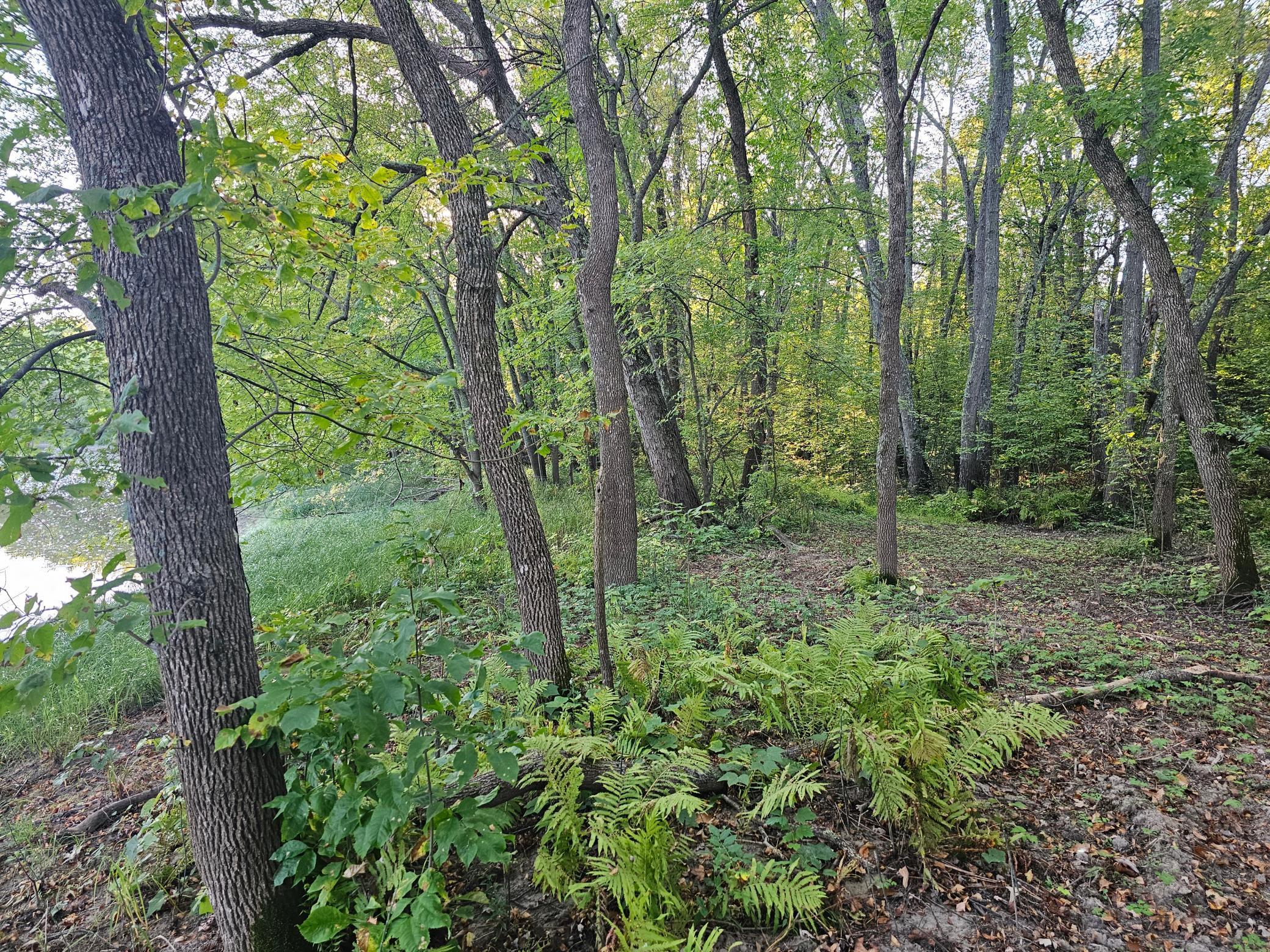 View of Land at Lot 5 Blk 1, 5.4 Acres County Road 30, Crosby MN 56441, Crosby (10 of 14) - Mike Wilen | Minnesota Team Real Estate