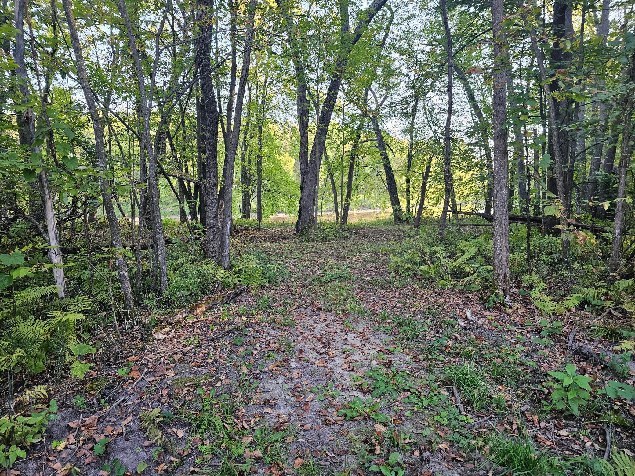 View of Land at Lot 5 Blk 1, 5.4 Acres County Road 30, Crosby MN 56441, Crosby (7 of 14) - Mike Wilen | Minnesota Team Real Estate