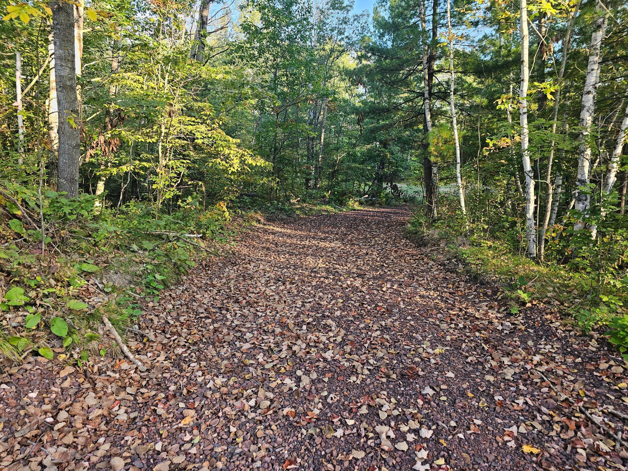 View of Land at Lot 5 Blk 1, 5.4 Acres County Road 30, Crosby MN 56441, Crosby (4 of 14) - Mike Wilen | Minnesota Team Real Estate