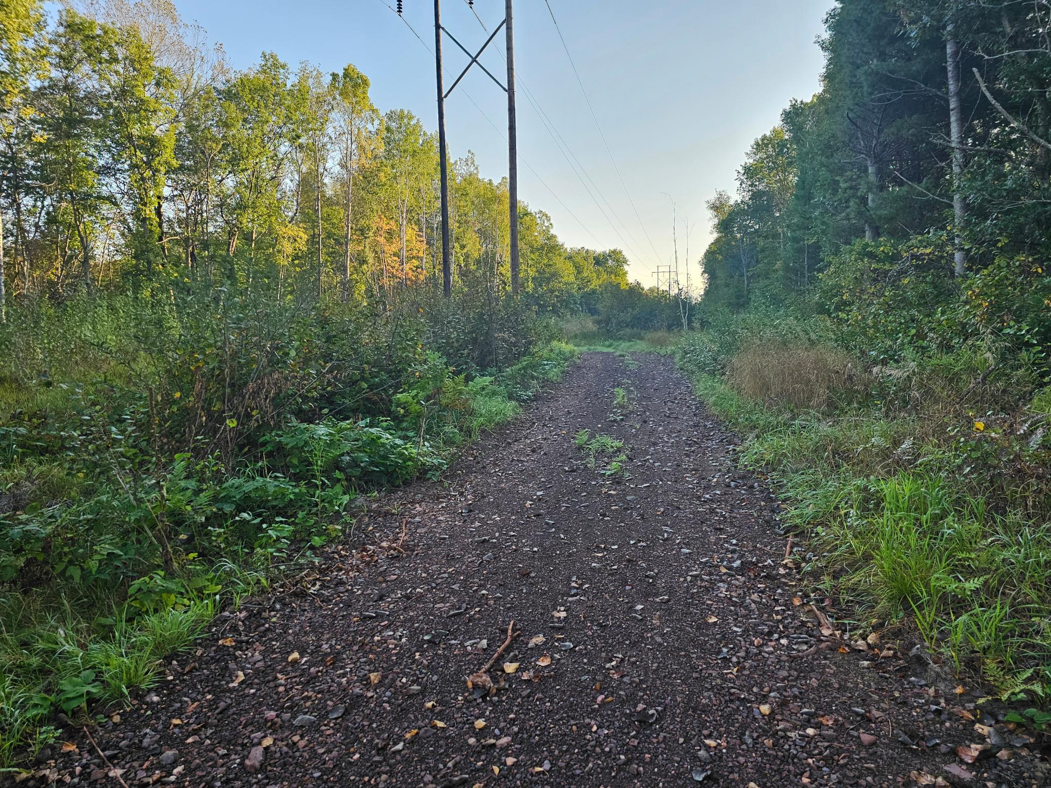 View of Land at Lot 5 Blk 1, 5.4 Acres County Road 30, Crosby MN 56441, Crosby (3 of 14) - Mike Wilen | Minnesota Team Real Estate