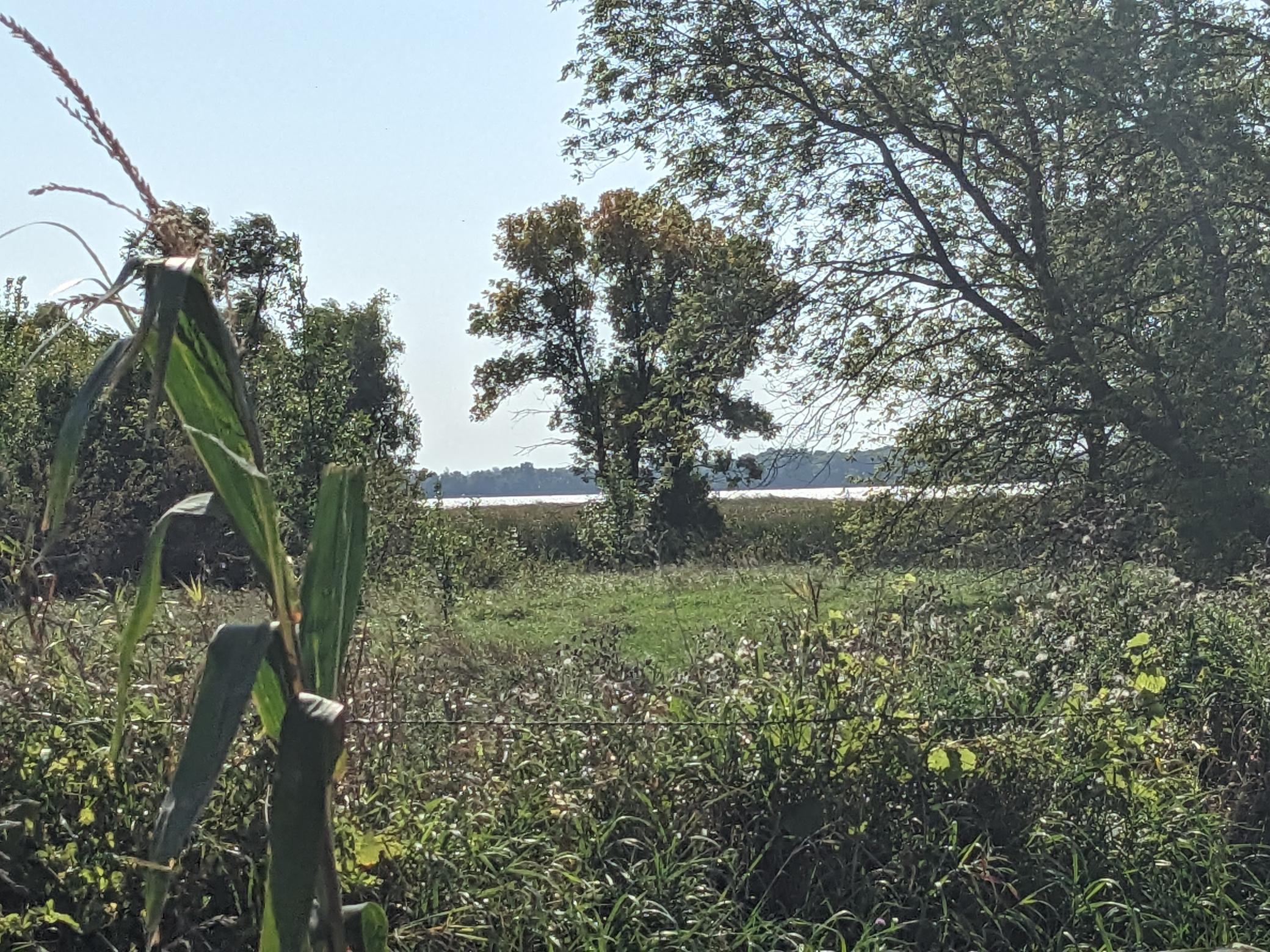 View of Land at 47721 Schilling Lake Road, Glencoe MN 55336, Glencoe - Mike Wilen | Minnesota Team Real Estate