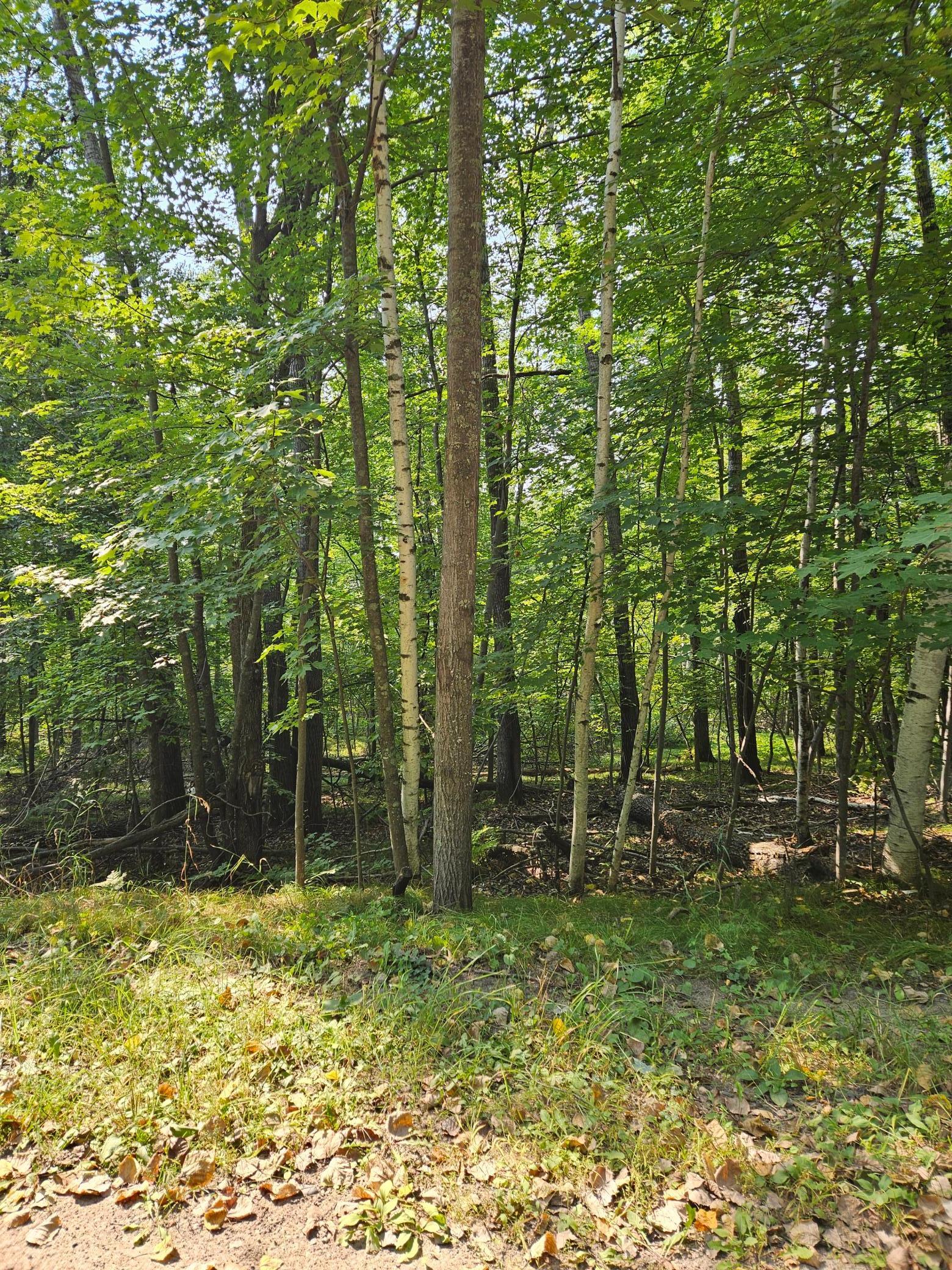 View of Land at Lots 41-43 Catskill Drive, Breezy Point MN 56472, Breezy Point (3 of 4) - Mike Wilen | Minnesota Team Real Estate
