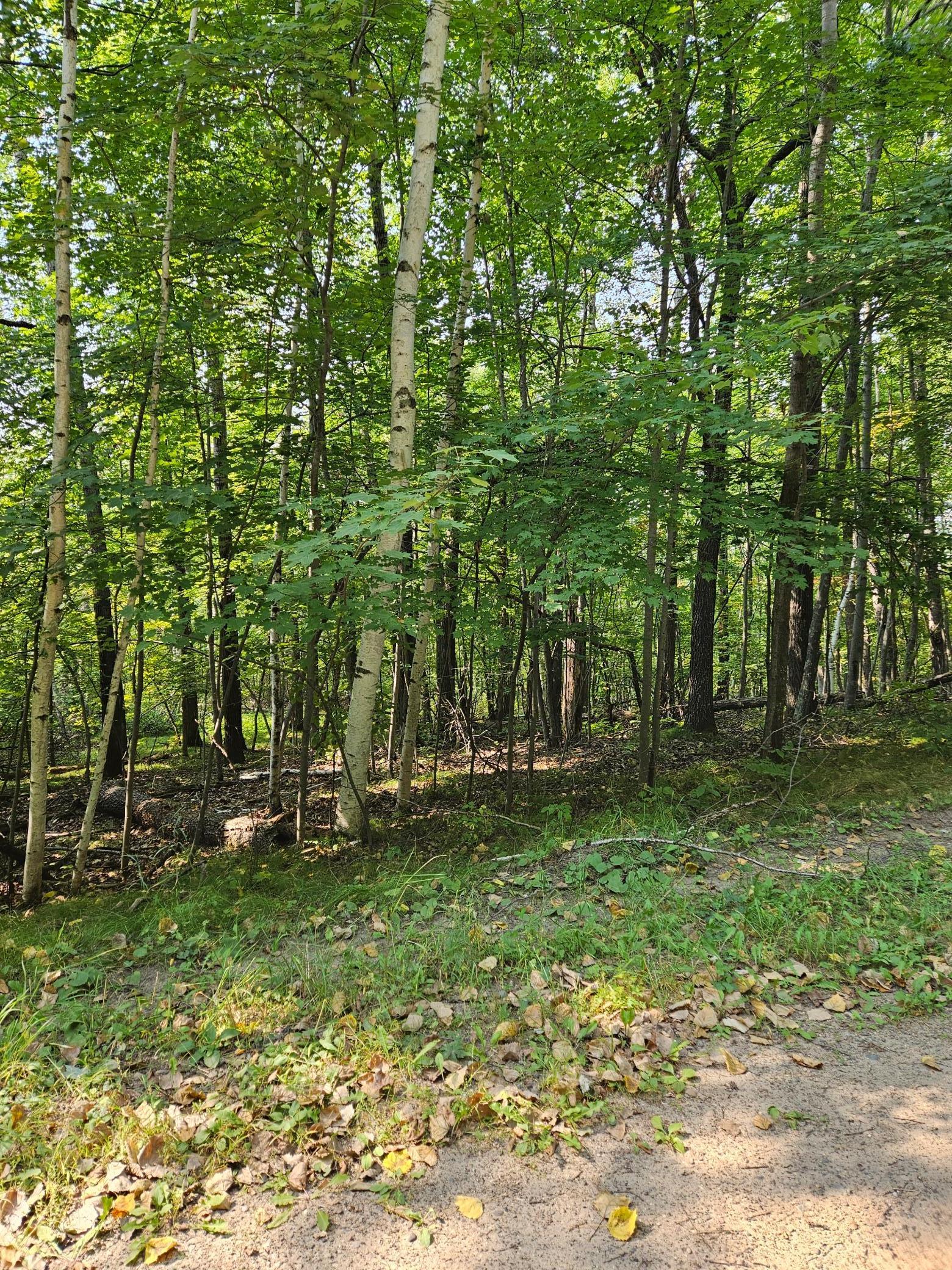 View of Land at Lots 41-43 Catskill Drive, Breezy Point MN 56472, Breezy Point (4 of 4) - Mike Wilen | Minnesota Team Real Estate