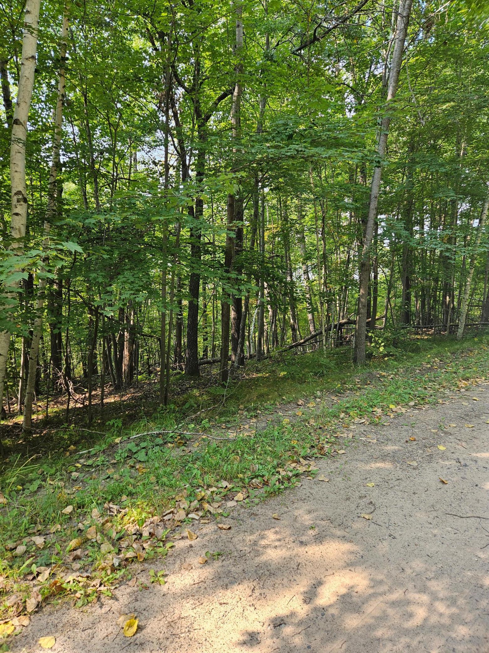 View of Land at Lots 41-43 Catskill Drive, Breezy Point MN 56472, Breezy Point (2 of 4) - Mike Wilen | Minnesota Team Real Estate