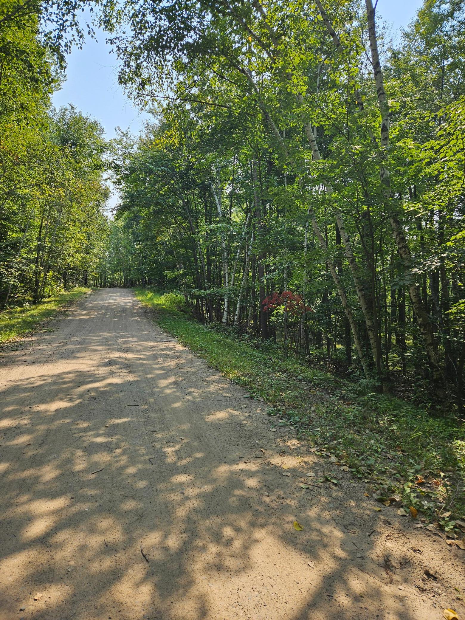 View of Land at Lots 41-43 Catskill Drive, Breezy Point MN 56472, Breezy Point - Mike Wilen | Minnesota Team Real Estate