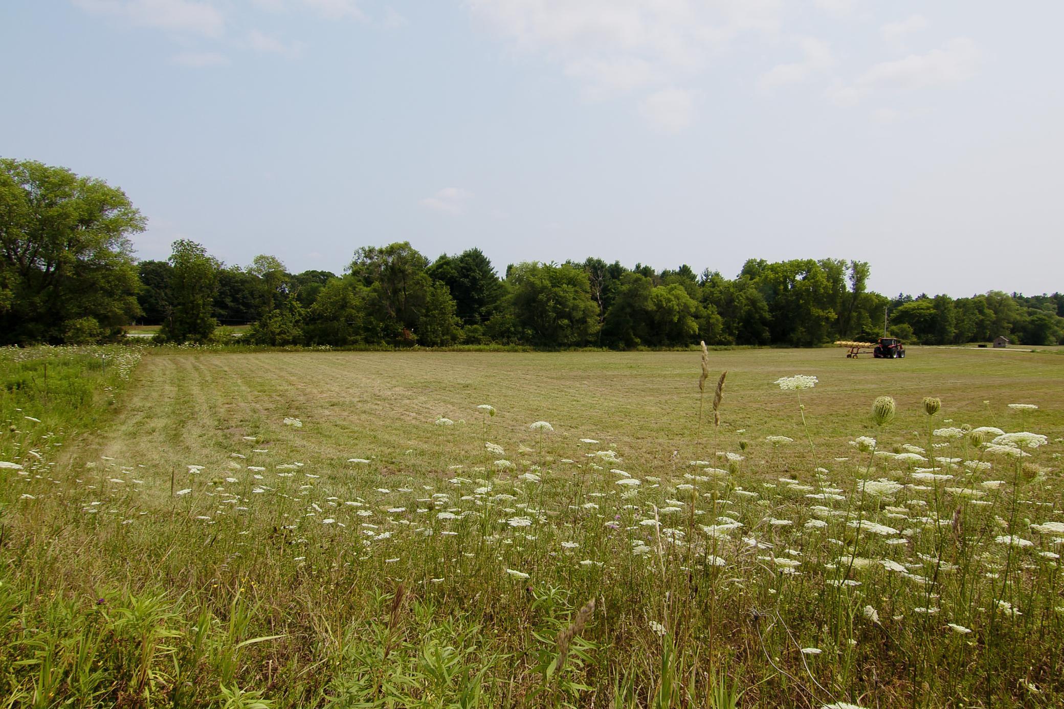 View of Land at 26xx Neal Ave, Stillwater MN 55082, Stillwater - Mike Wilen | Minnesota Team Real Estate