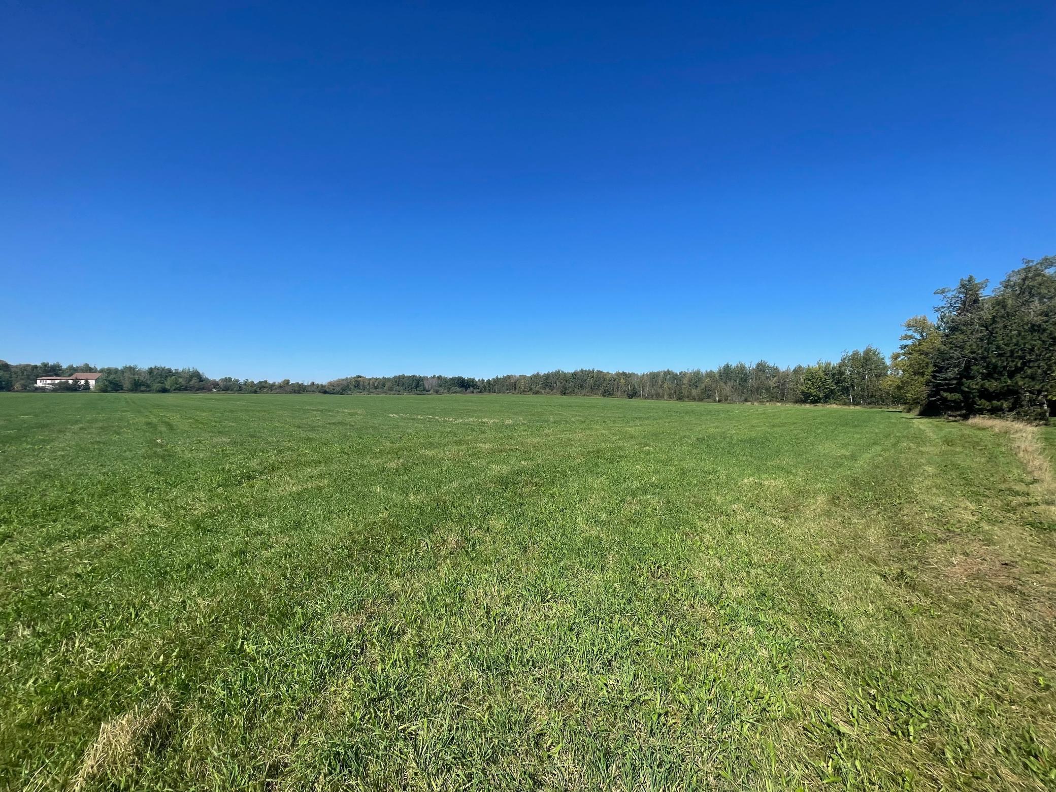 View of Land at xxx 140th, Foreston MN 56330, Foreston (6 of 15) - Mike Wilen | Minnesota Team Real Estate