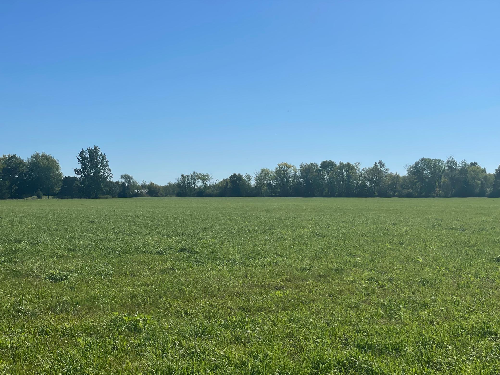 View of Land at xxx 140th, Foreston MN 56330, Foreston (5 of 15) - Mike Wilen | Minnesota Team Real Estate