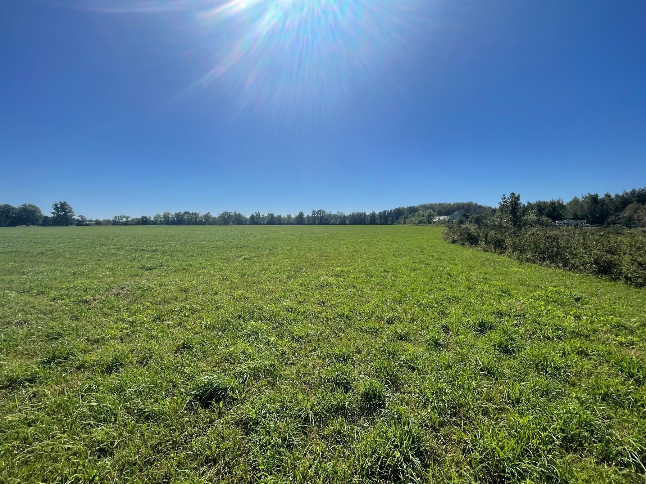 View of Land at xxx 140th, Foreston MN 56330, Foreston (4 of 15) - Mike Wilen | Minnesota Team Real Estate