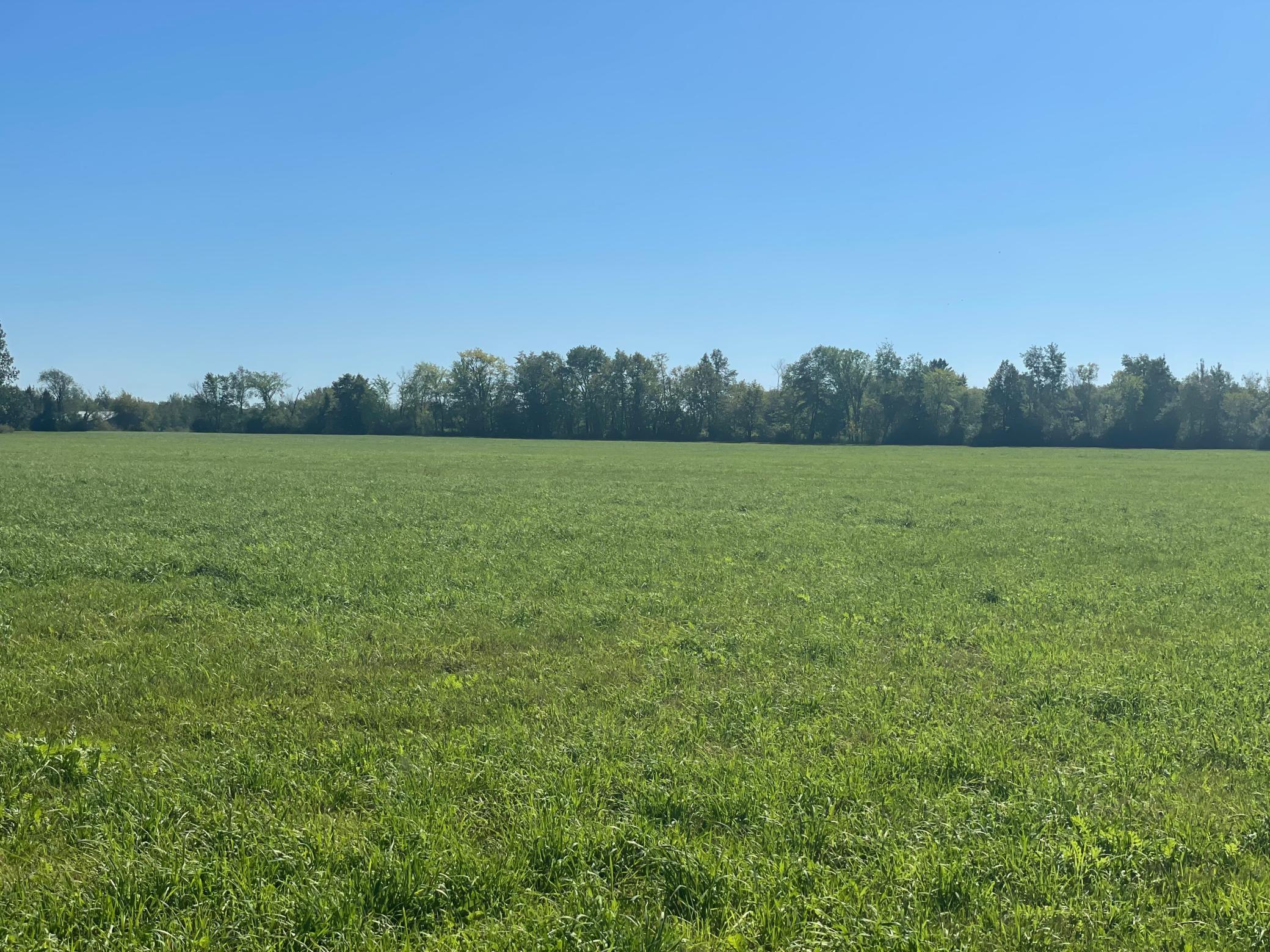 View of Land at xxx 140th, Foreston MN 56330, Foreston (3 of 15) - Mike Wilen | Minnesota Team Real Estate