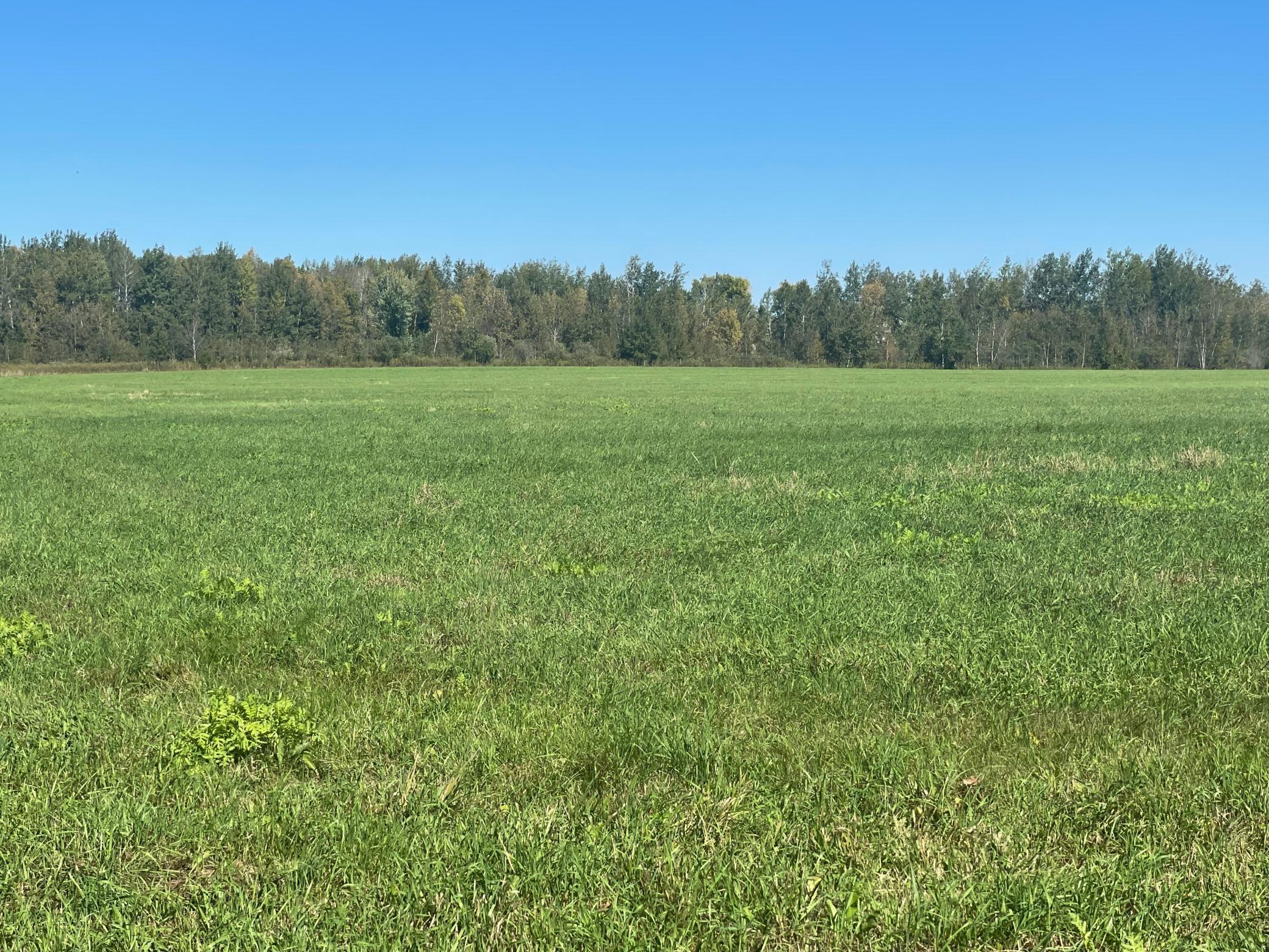 View of Land at xxx 140th, Foreston MN 56330, Foreston (2 of 15) - Mike Wilen | Minnesota Team Real Estate