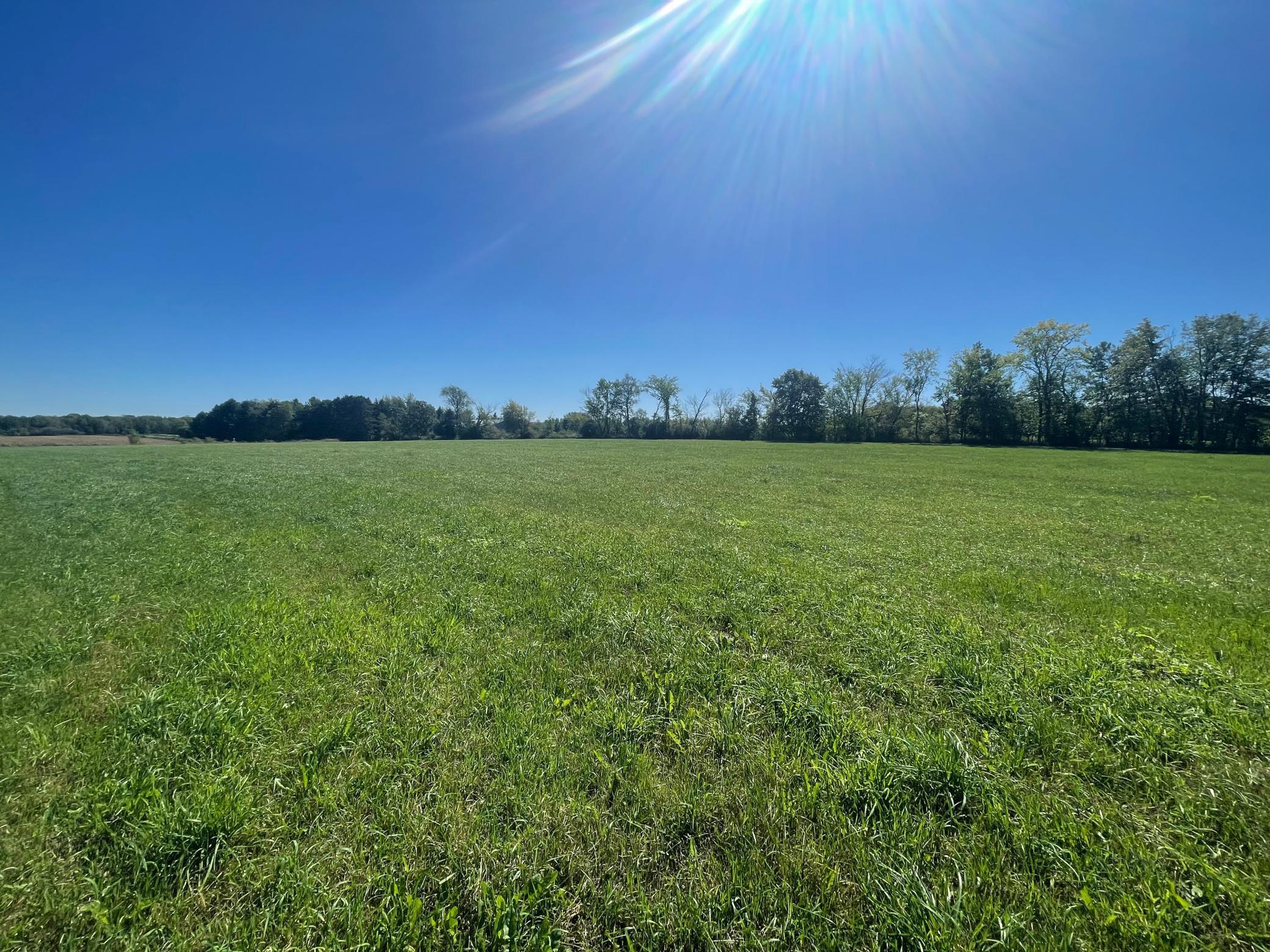 View of Land at xxx 140th, Foreston MN 56330, Foreston (14 of 15) - Mike Wilen | Minnesota Team Real Estate