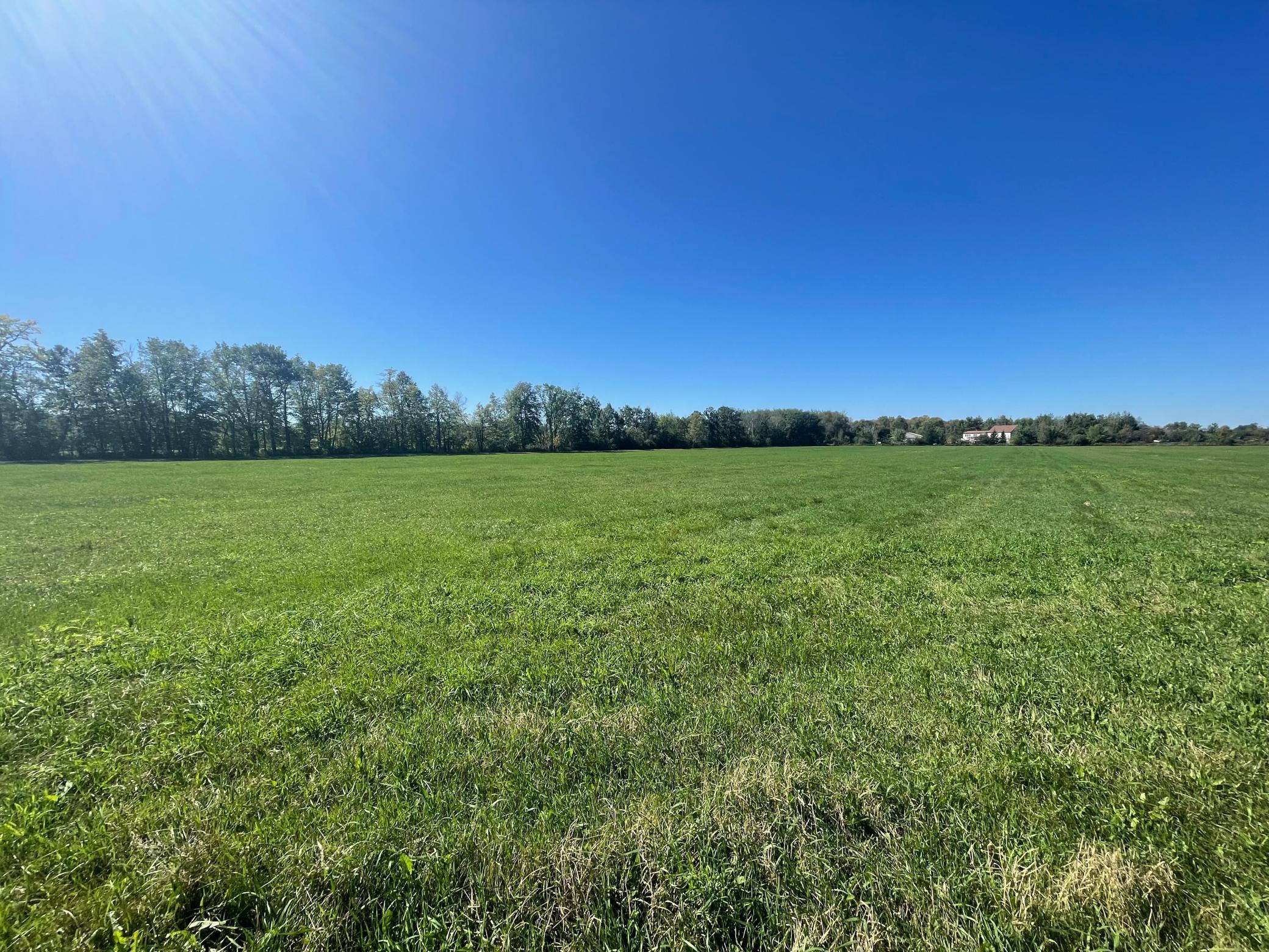 View of Land at xxx 140th, Foreston MN 56330, Foreston (13 of 15) - Mike Wilen | Minnesota Team Real Estate