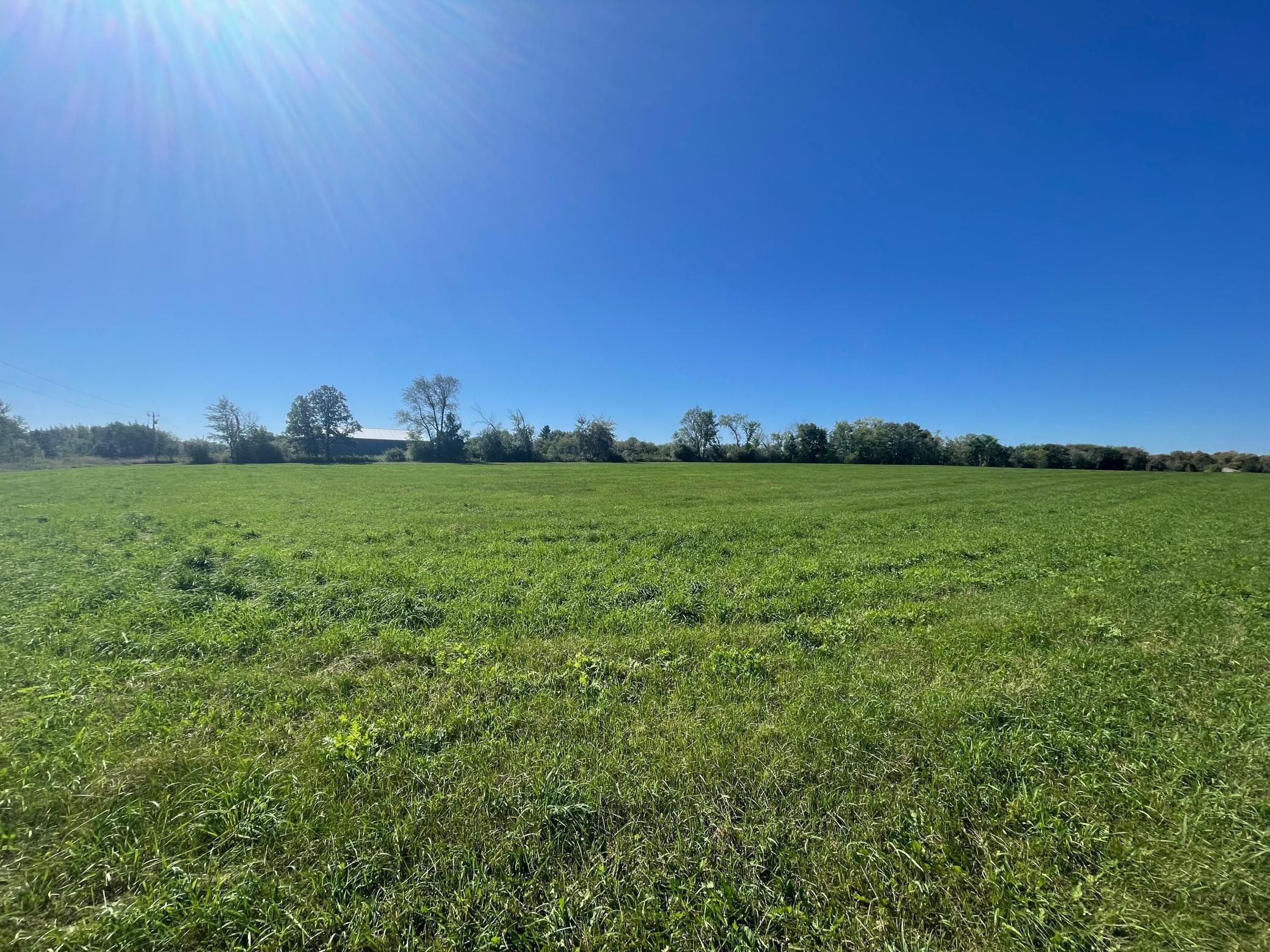 View of Land at xxx 140th, Foreston MN 56330, Foreston (9 of 15) - Mike Wilen | Minnesota Team Real Estate