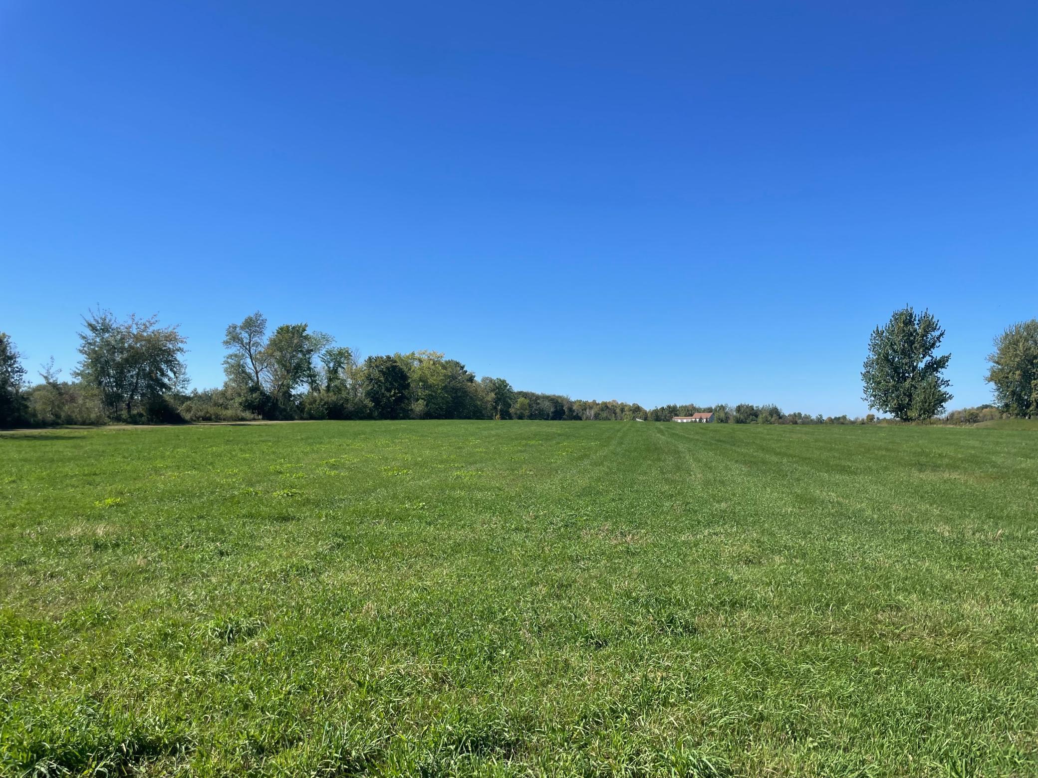 View of Land at xxx 140th, Foreston MN 56330, Foreston (7 of 15) - Mike Wilen | Minnesota Team Real Estate