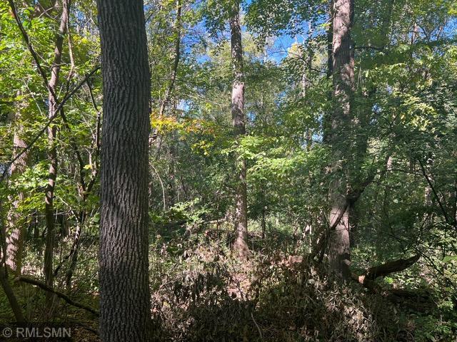 View of Land at 30931 Virgo Street, North Branch MN 55056, North Branch - Mike Wilen | Minnesota Team Real Estate