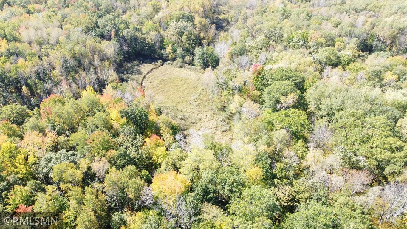 View of Land at 20801 60th Avenue, Milaca MN 56353, Milaca - Mike Wilen | Minnesota Team Real Estate