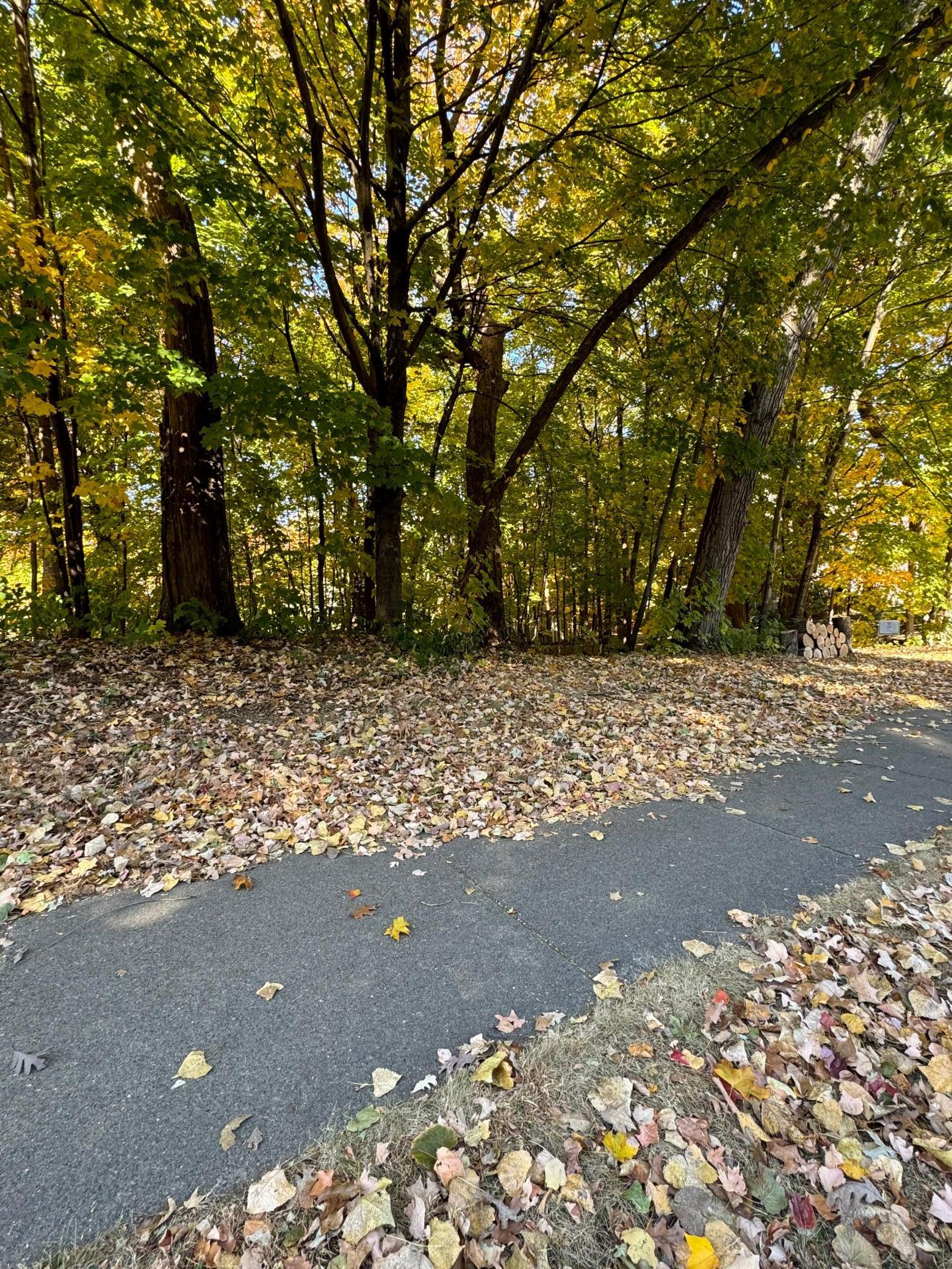 View of Land at 2878 Ironwood Boulevard, Chaska MN 55318, Chaska - Mike Wilen | Minnesota Team Real Estate