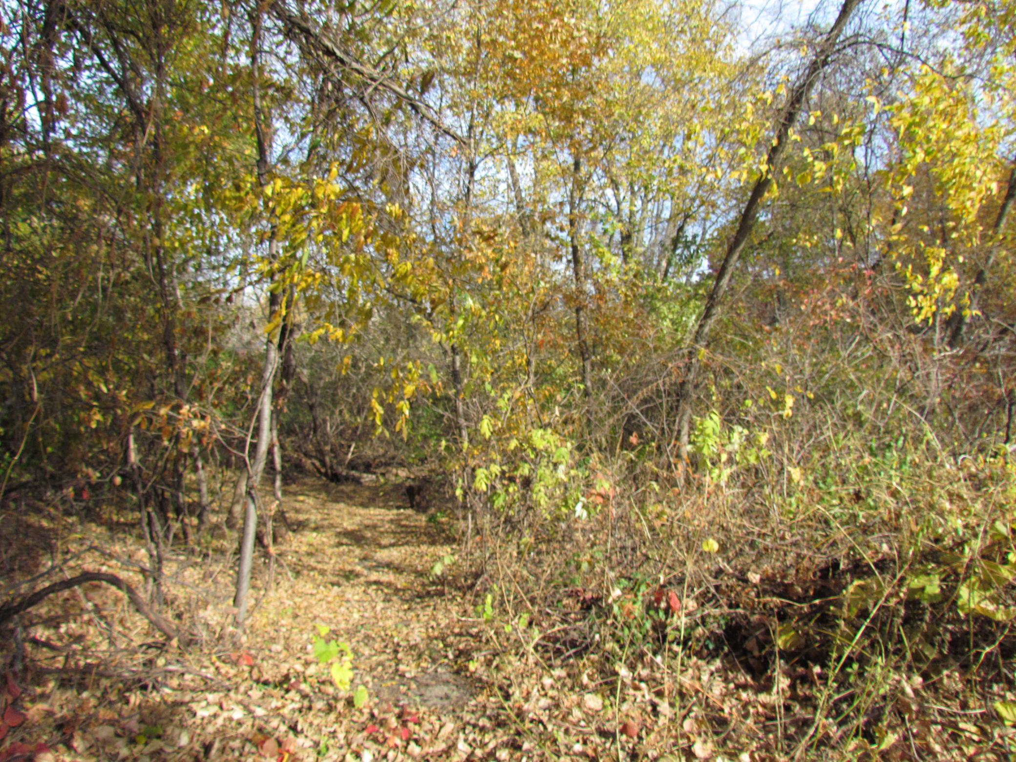 View of Land at 13442 Jefferson Street, Becker MN 55308, Becker - Mike Wilen | Minnesota Team Real Estate