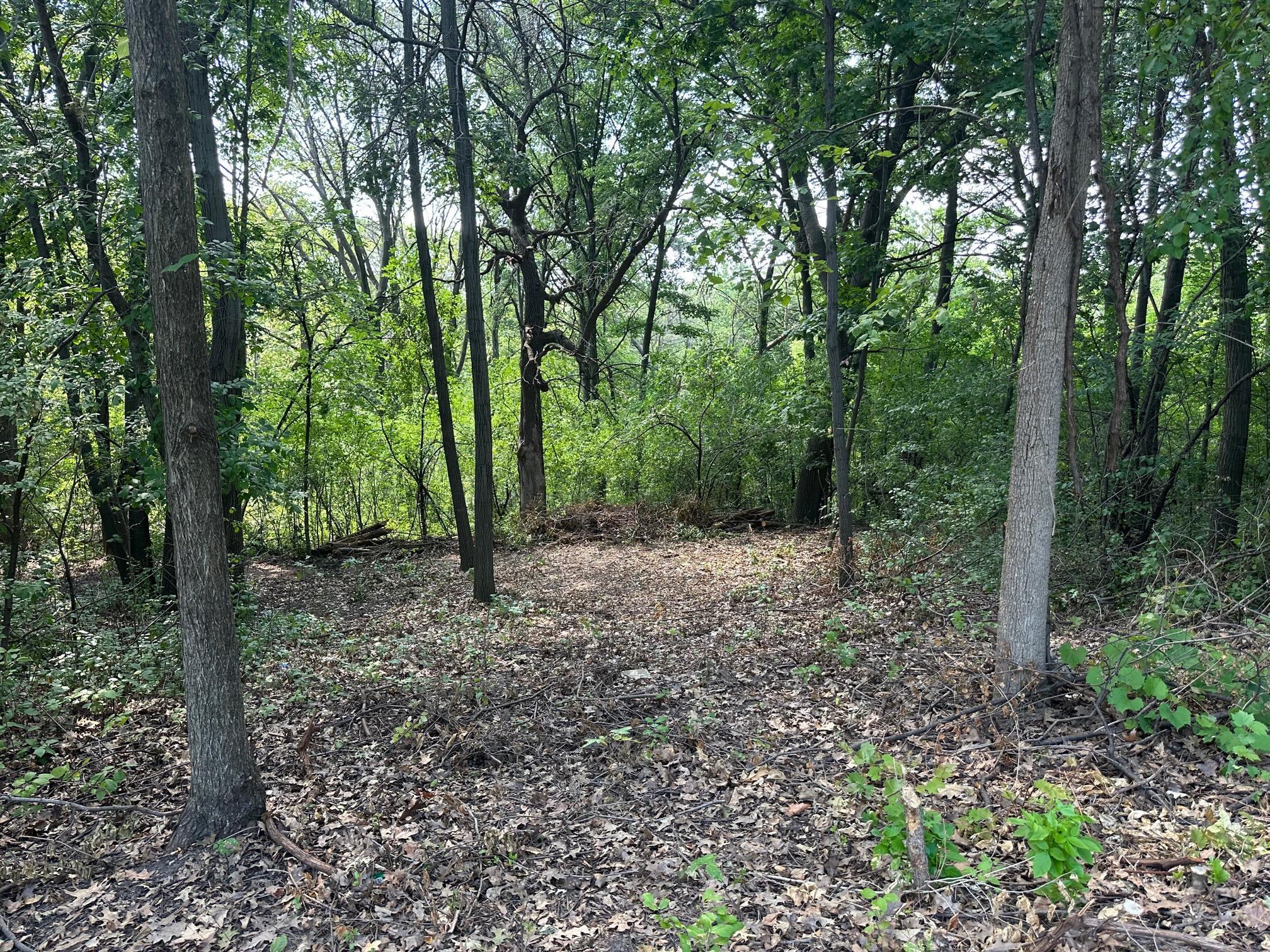 View of Land at 195X Glenhill Road, Mendota Heights MN 55118, Mendota Heights - Mike Wilen | Minnesota Team Real Estate