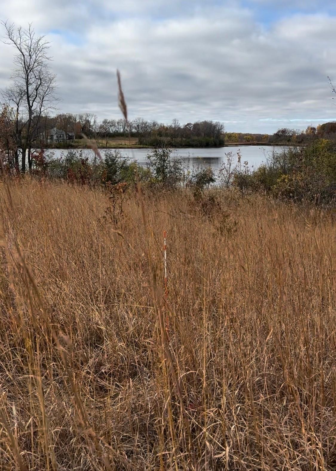 View of Land at xxx County Rd 127, Delano MN 55328, Delano - Mike Wilen | Minnesota Team Real Estate