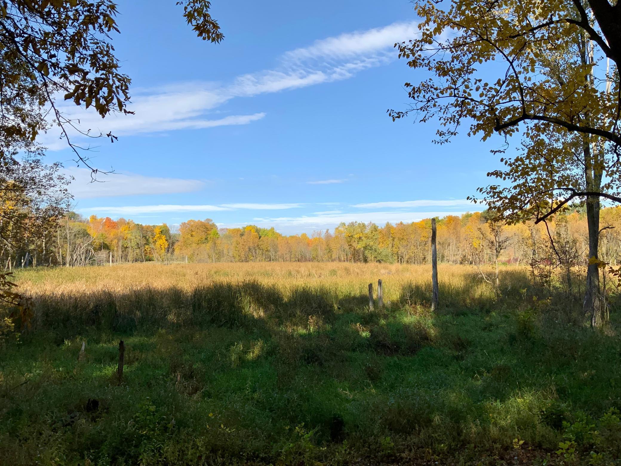 View of Land at 227XX Balsa Avenue, Prior Lake MN 55372, Prior Lake - Mike Wilen | Minnesota Team Real Estate
