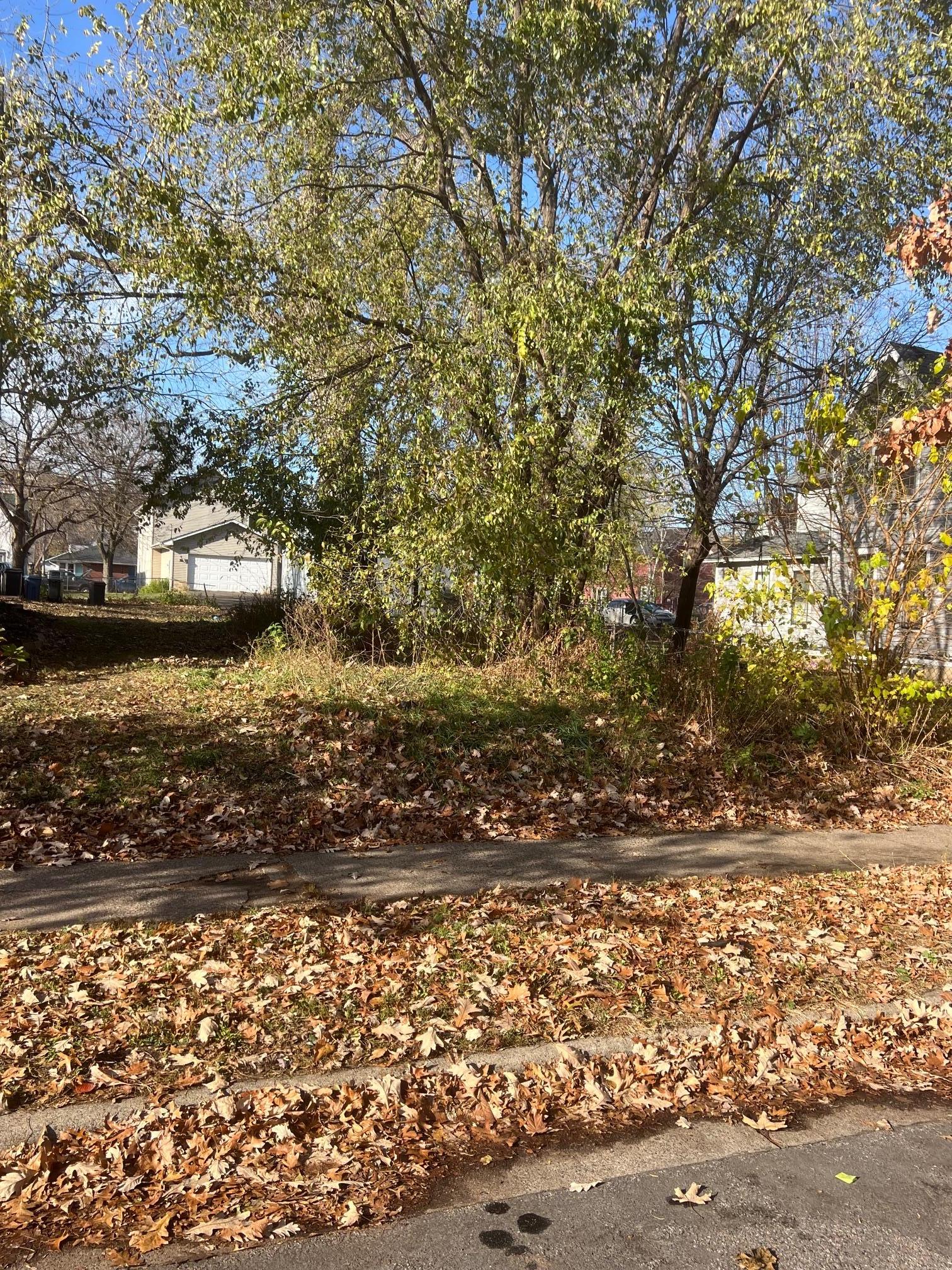 View of Land at 2512 13th Avenue, Minneapolis MN 55404, Minneapolis - Mike Wilen | Minnesota Team Real Estate