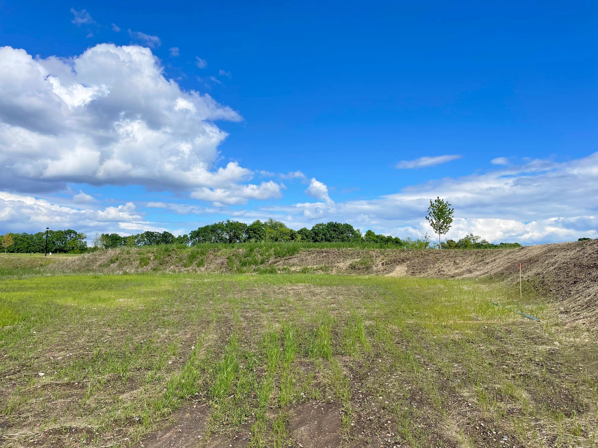 View of Land at 7610 Lake John Drive, Annandale MN 55302, Annandale (14 of 22) - Mike Wilen | Minnesota Team Real Estate