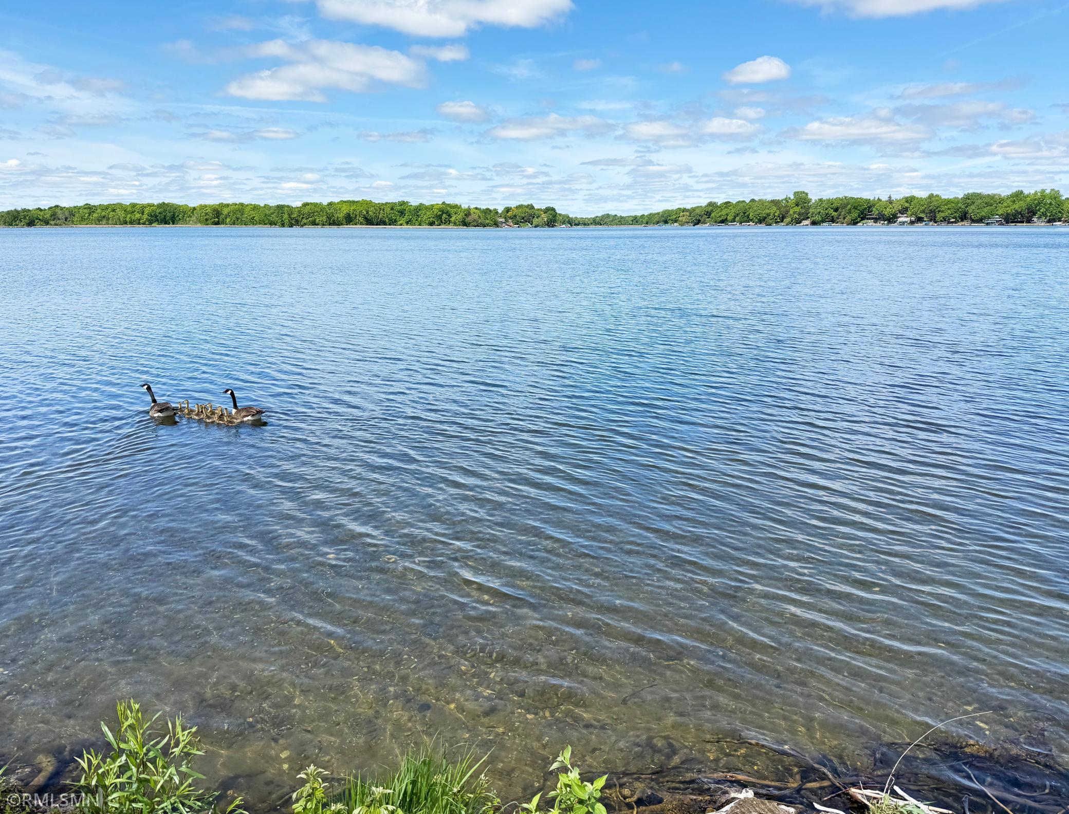 View of Land at 7610 Lake John Drive, Annandale MN 55302, Annandale (16 of 22) - Mike Wilen | Minnesota Team Real Estate