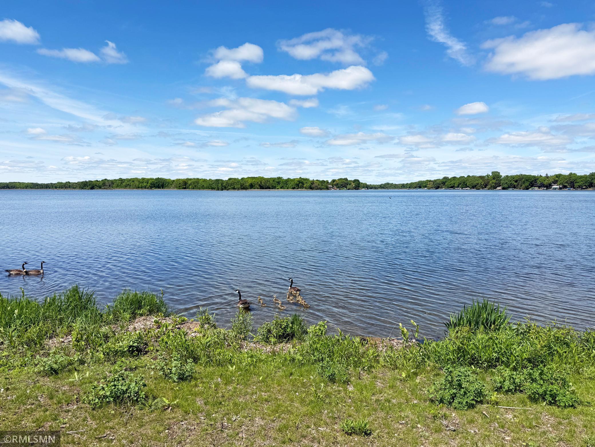 View of Land at 7610 Lake John Drive, Annandale MN 55302, Annandale (15 of 22) - Mike Wilen | Minnesota Team Real Estate