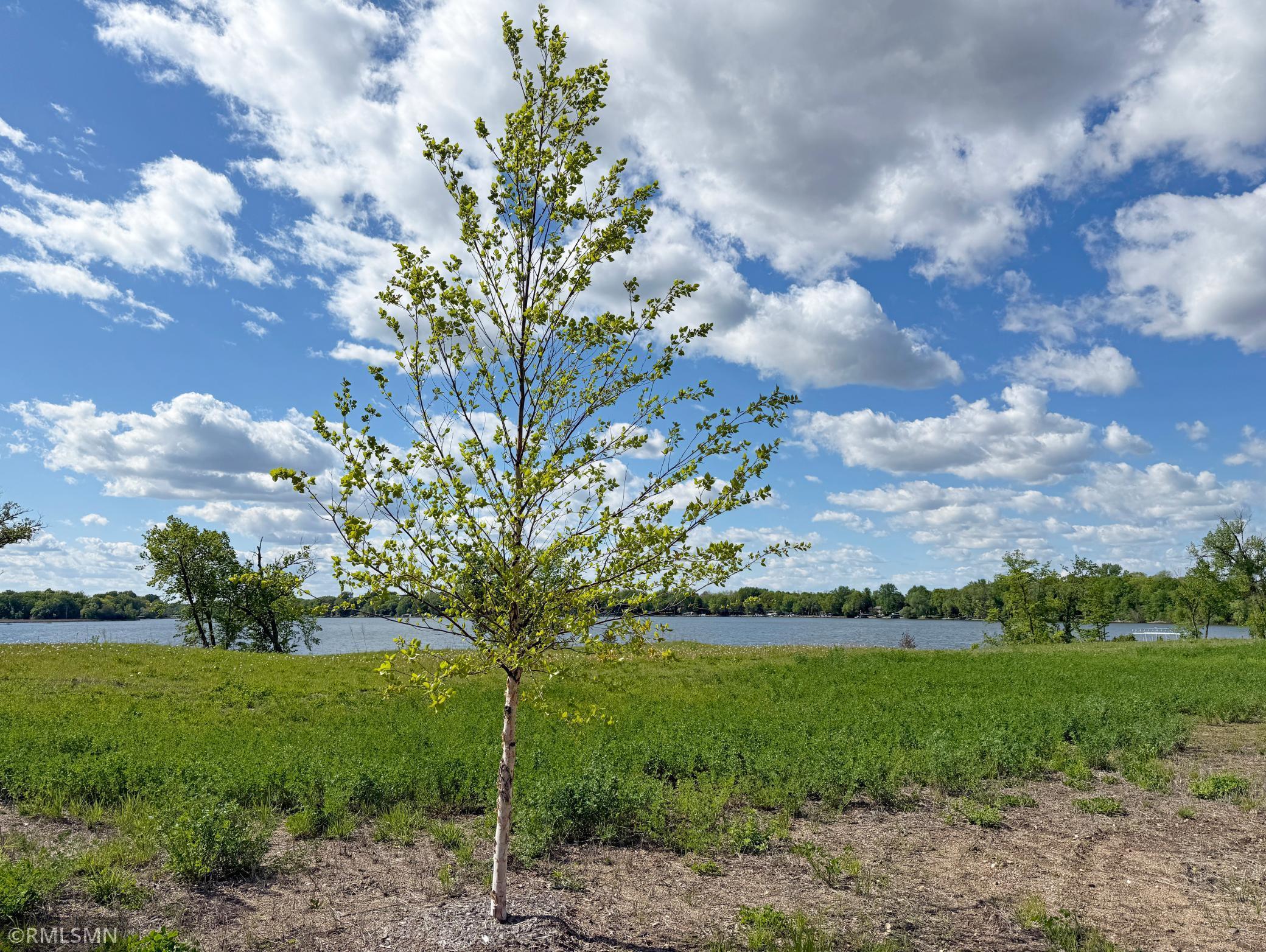 View of Land at 7560 Lake John Drive, Annandale MN 55302, Annandale (14 of 22) - Mike Wilen | Minnesota Team Real Estate