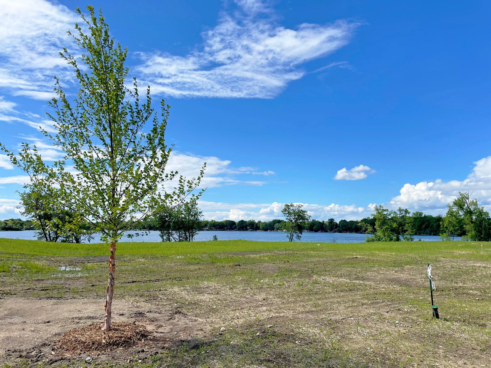 View of Land at 7550 Lake John Drive, Annandale MN 55302, Annandale (11 of 30) - Mike Wilen | Minnesota Team Real Estate