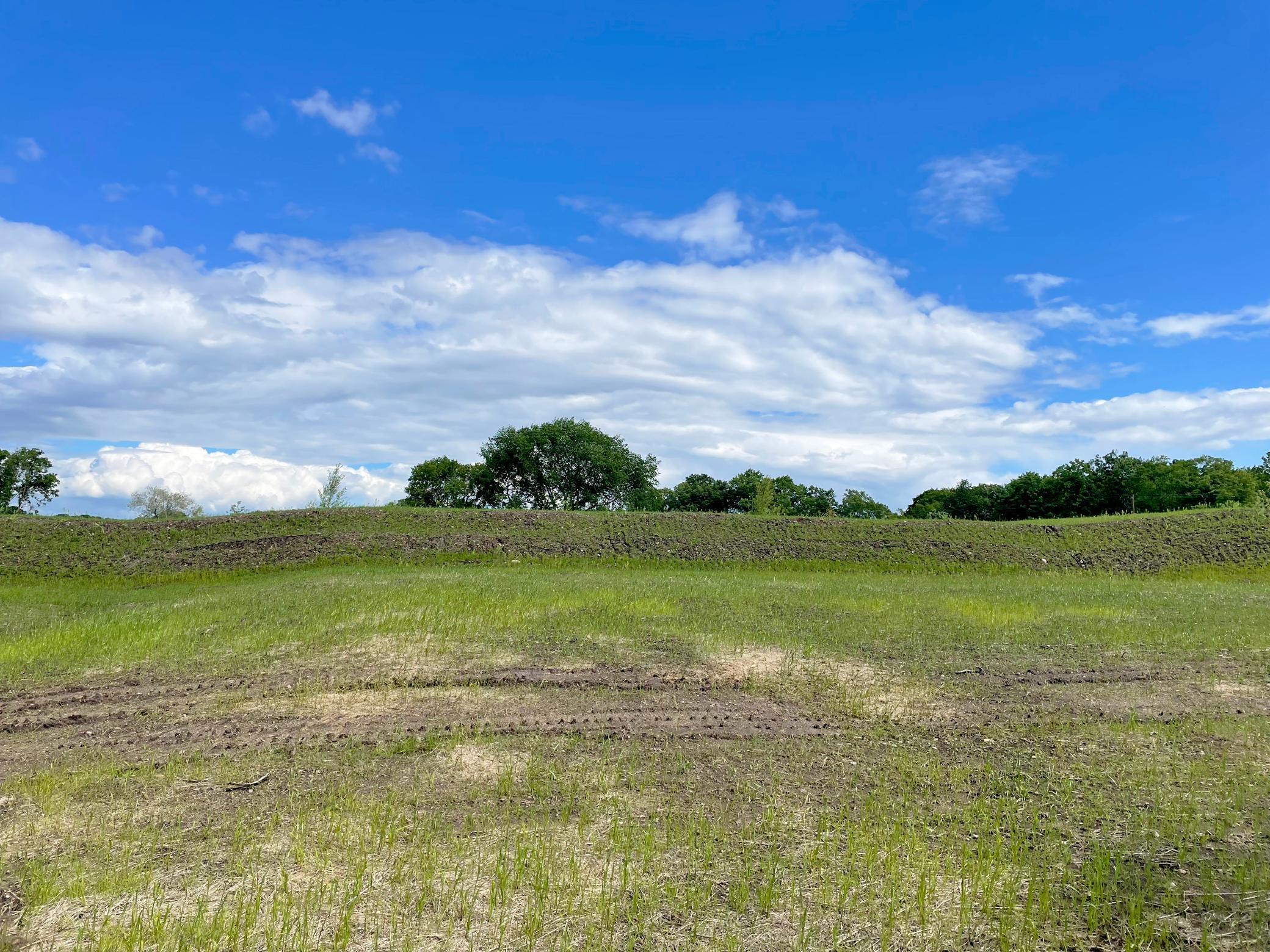 View of Land at 7550 Lake John Drive, Annandale MN 55302, Annandale (12 of 30) - Mike Wilen | Minnesota Team Real Estate