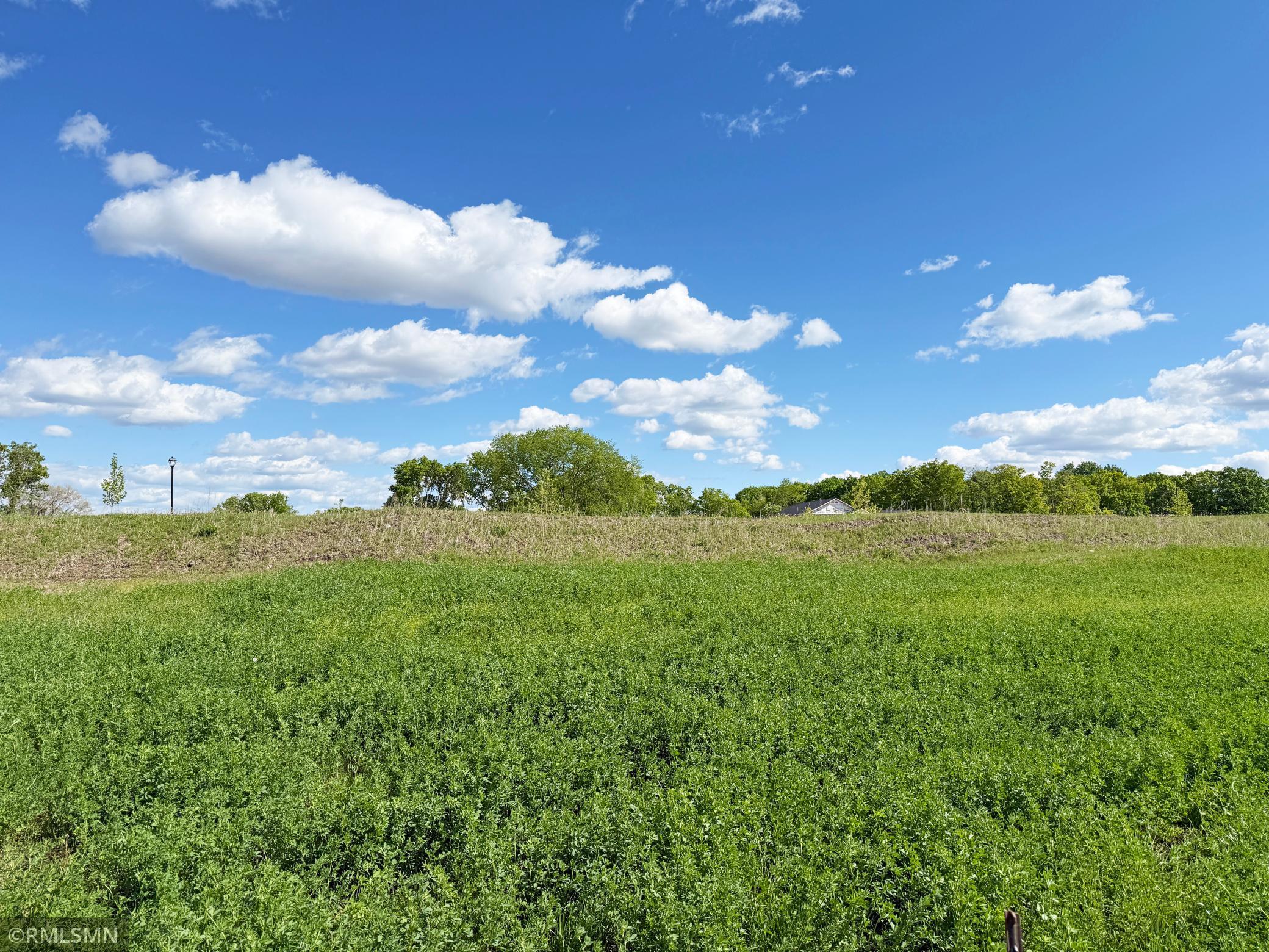 View of Land at 7550 Lake John Drive, Annandale MN 55302, Annandale (30 of 30) - Mike Wilen | Minnesota Team Real Estate