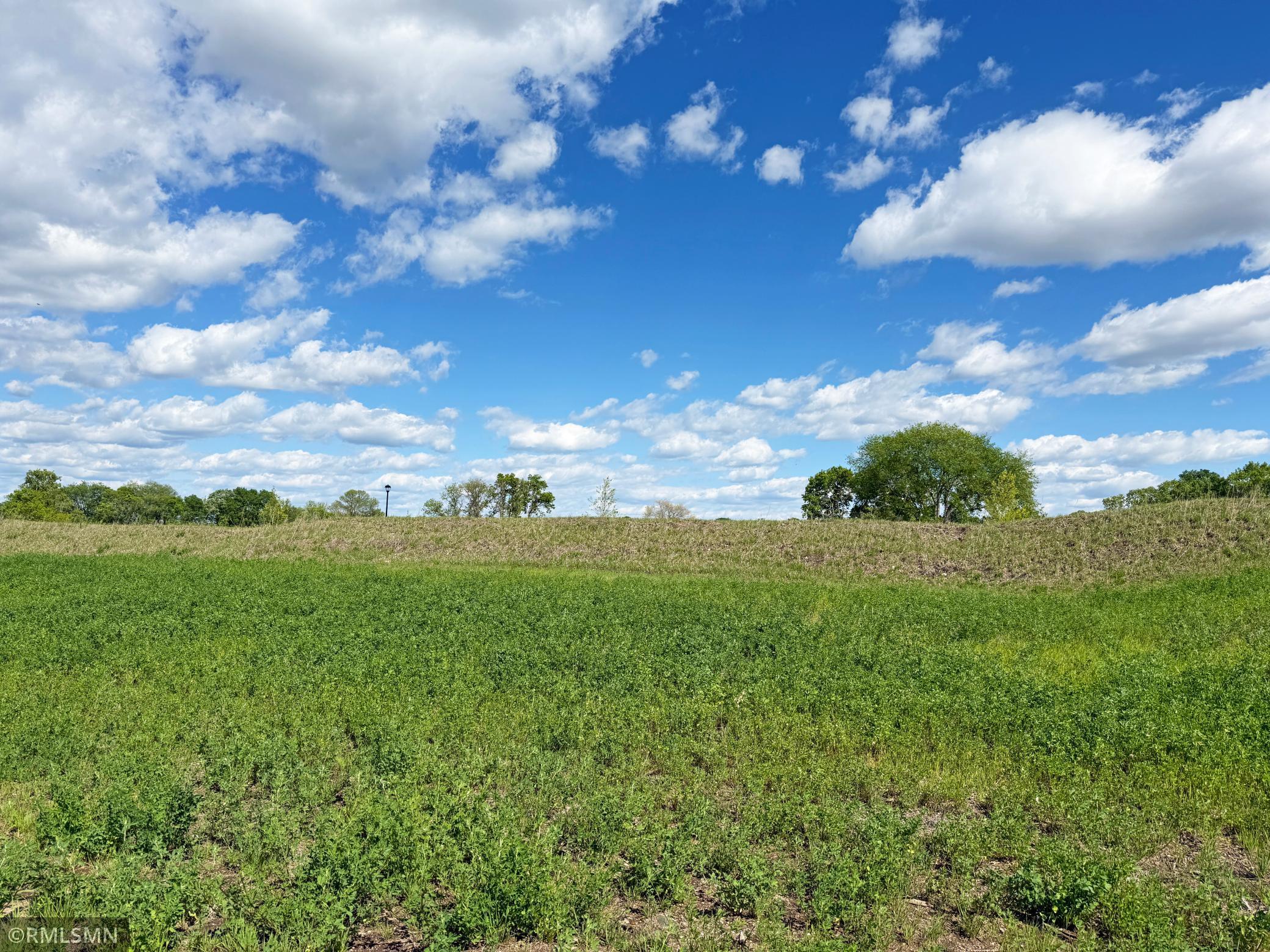 View of Land at 7550 Lake John Drive, Annandale MN 55302, Annandale (27 of 30) - Mike Wilen | Minnesota Team Real Estate