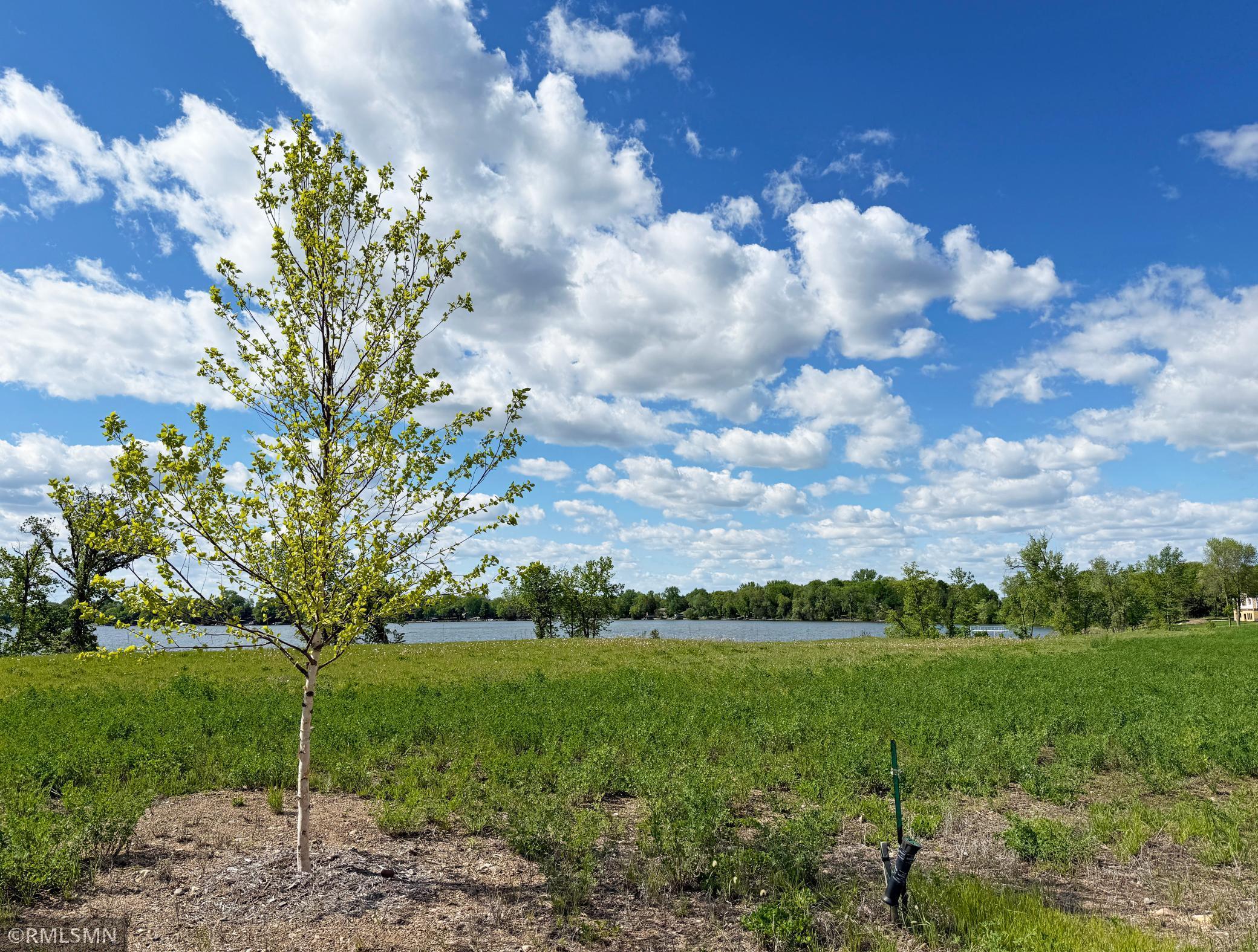 View of Land at 7550 Lake John Drive, Annandale MN 55302, Annandale (26 of 30) - Mike Wilen | Minnesota Team Real Estate