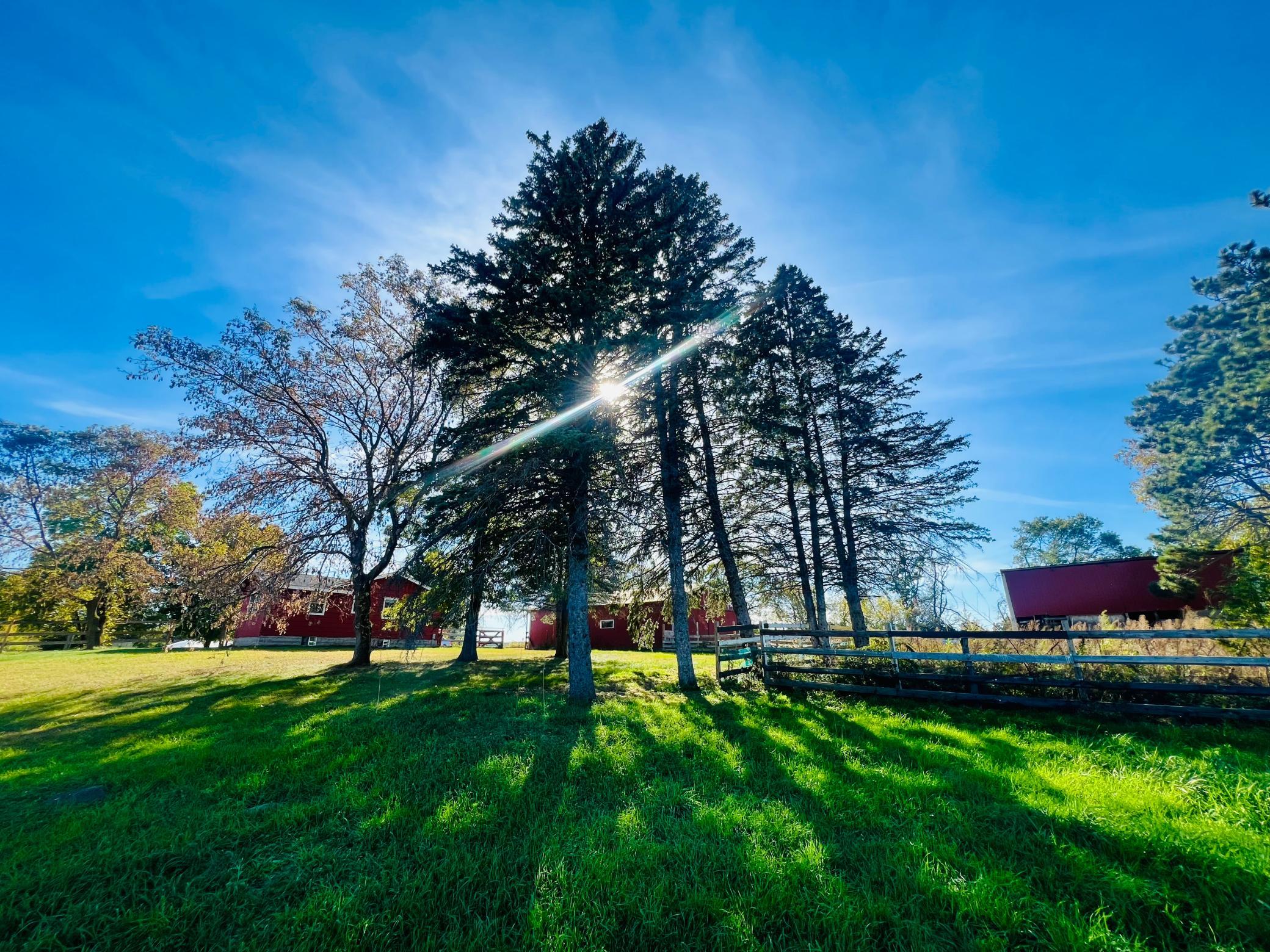 View of Residential at 1645 253rd Avenue, Isanti MN 55040, Isanti - Mike Wilen | Minnesota Team Real Estate